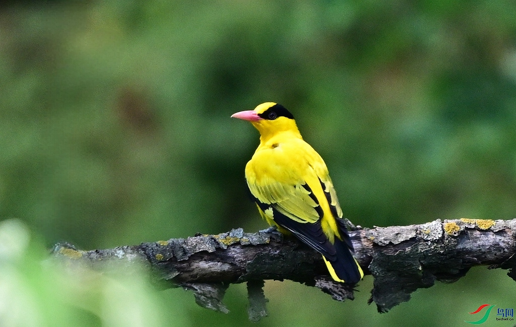 DSC_4711.JPG