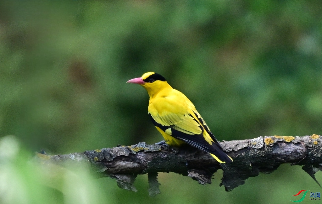 DSC_4742.JPG