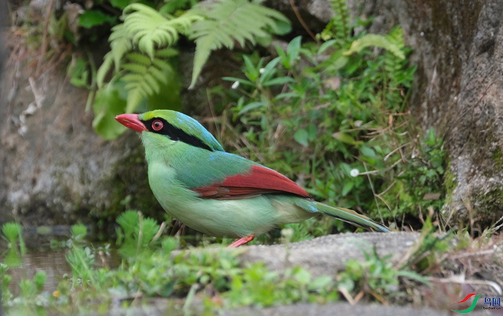 DSCF5437.1.JPG