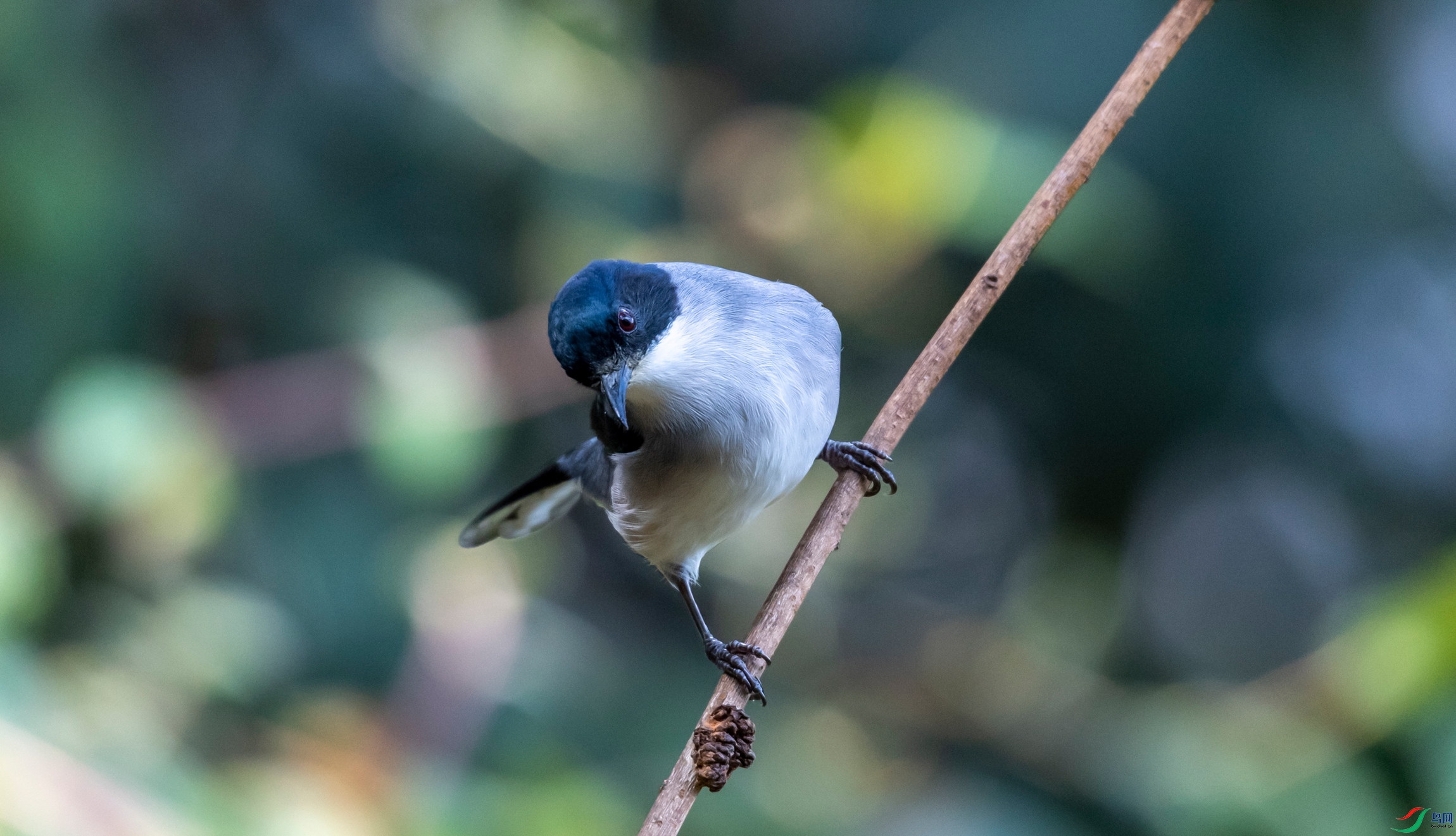 DSC_1640_1.jpg