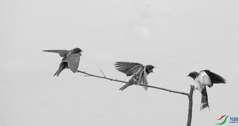 DSCF5422.1.jpg