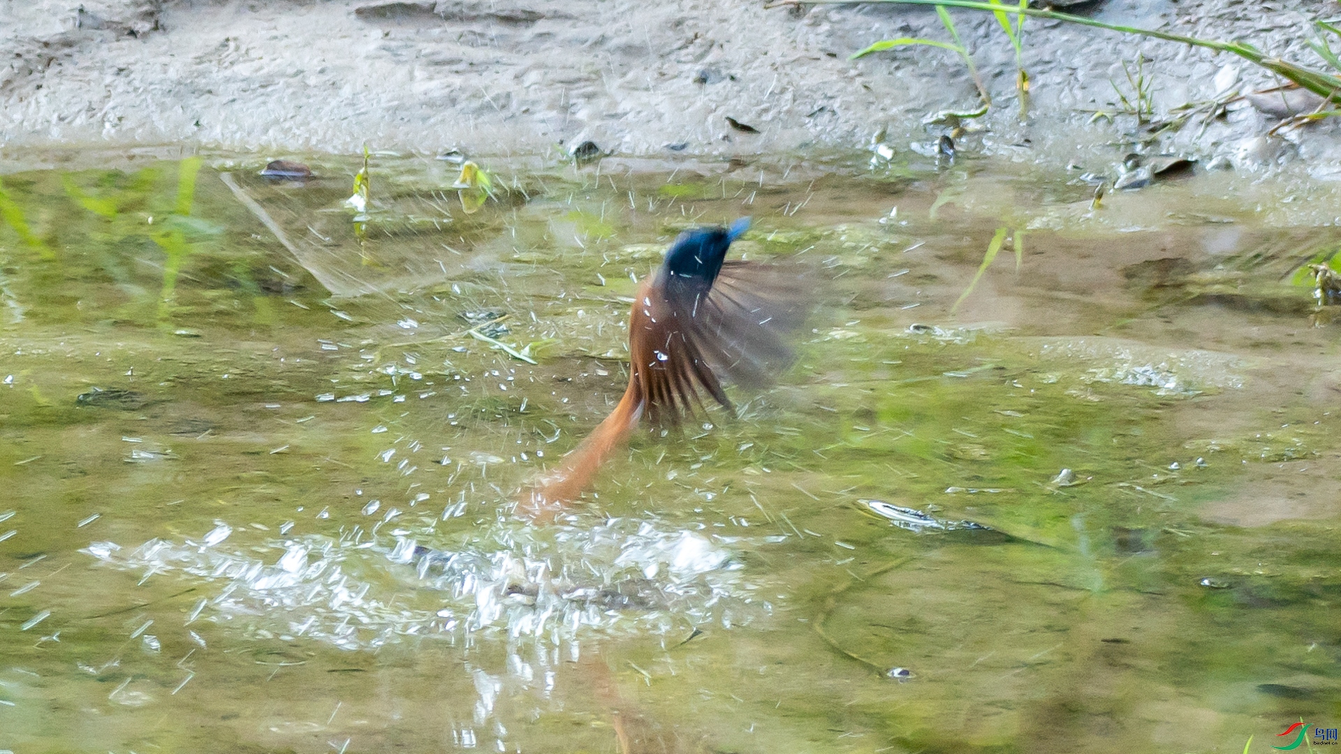 _DSC3905.jpg