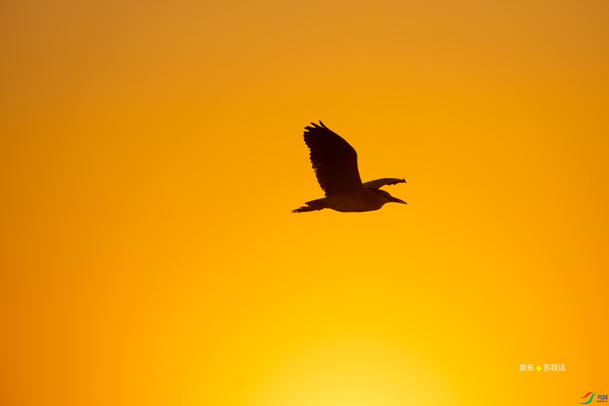 20250429-_DSC1609С.jpg