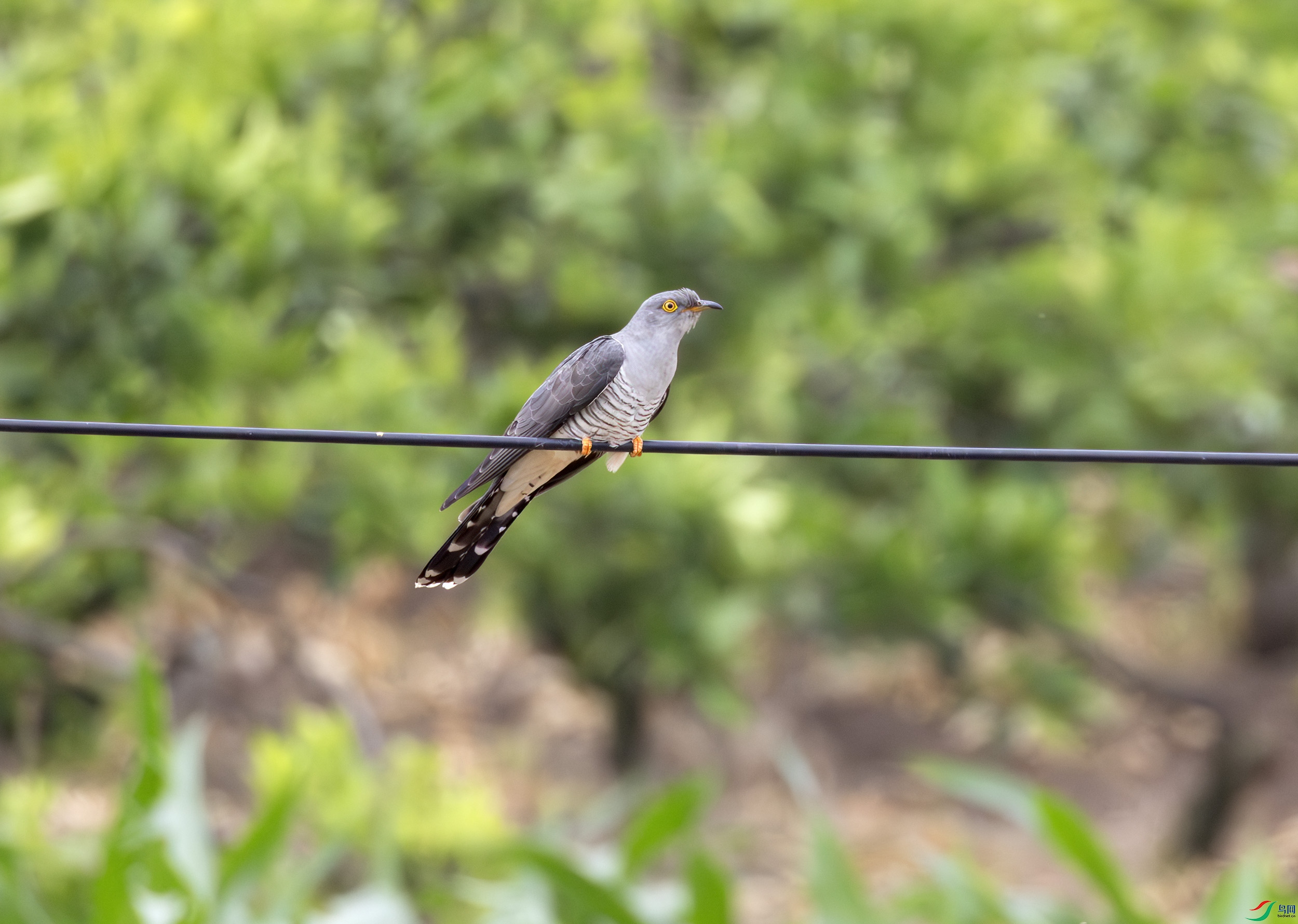 2I1A5221-����ǿ-NR ����.jpg