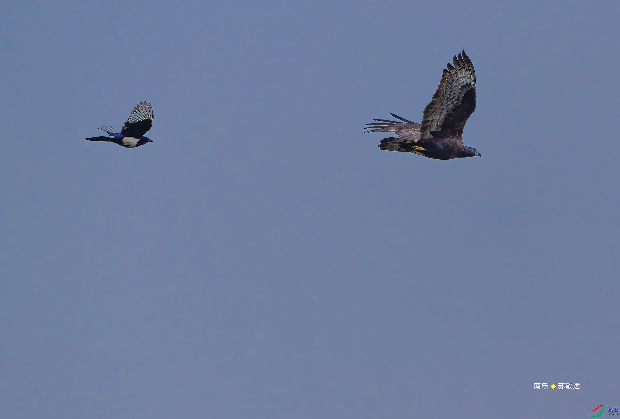 20250505-_DSC3537С.jpg
