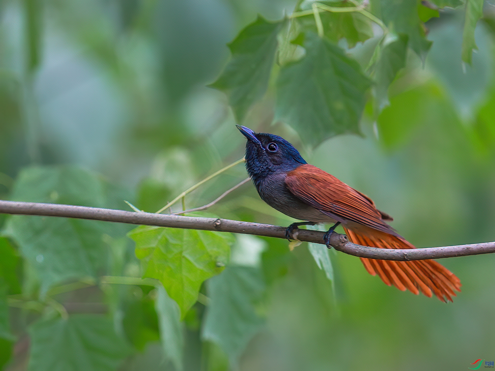 AQ4P0382-1.jpg