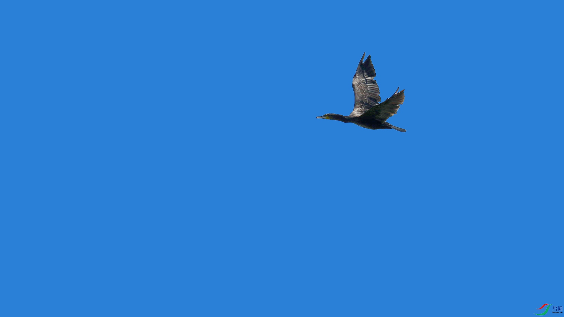 A48Z7124_����.jpg