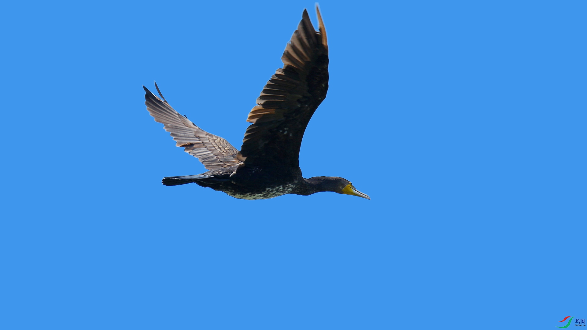 A48Z7132_����.jpg
