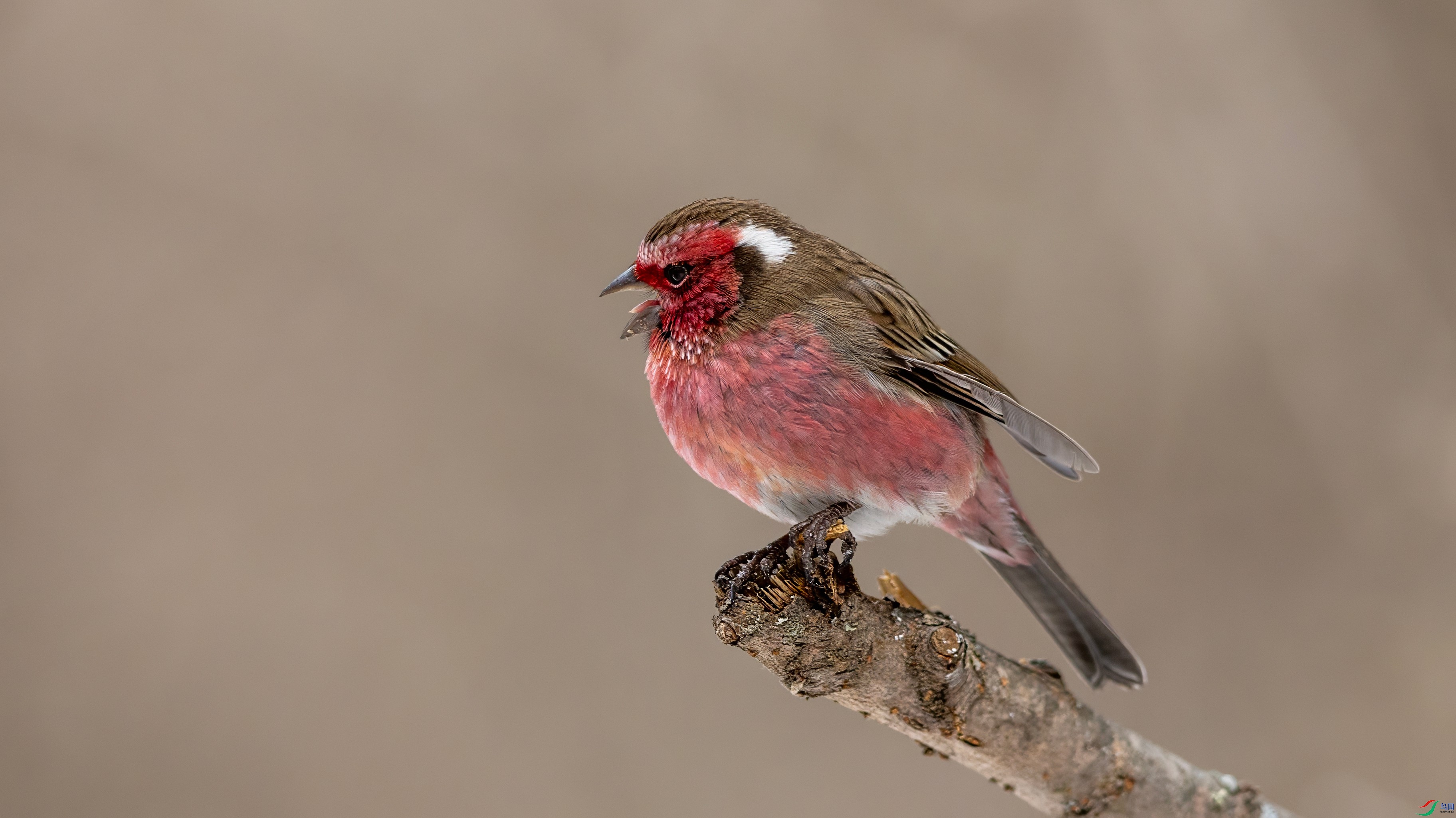 R5_27461 ����_����.jpg