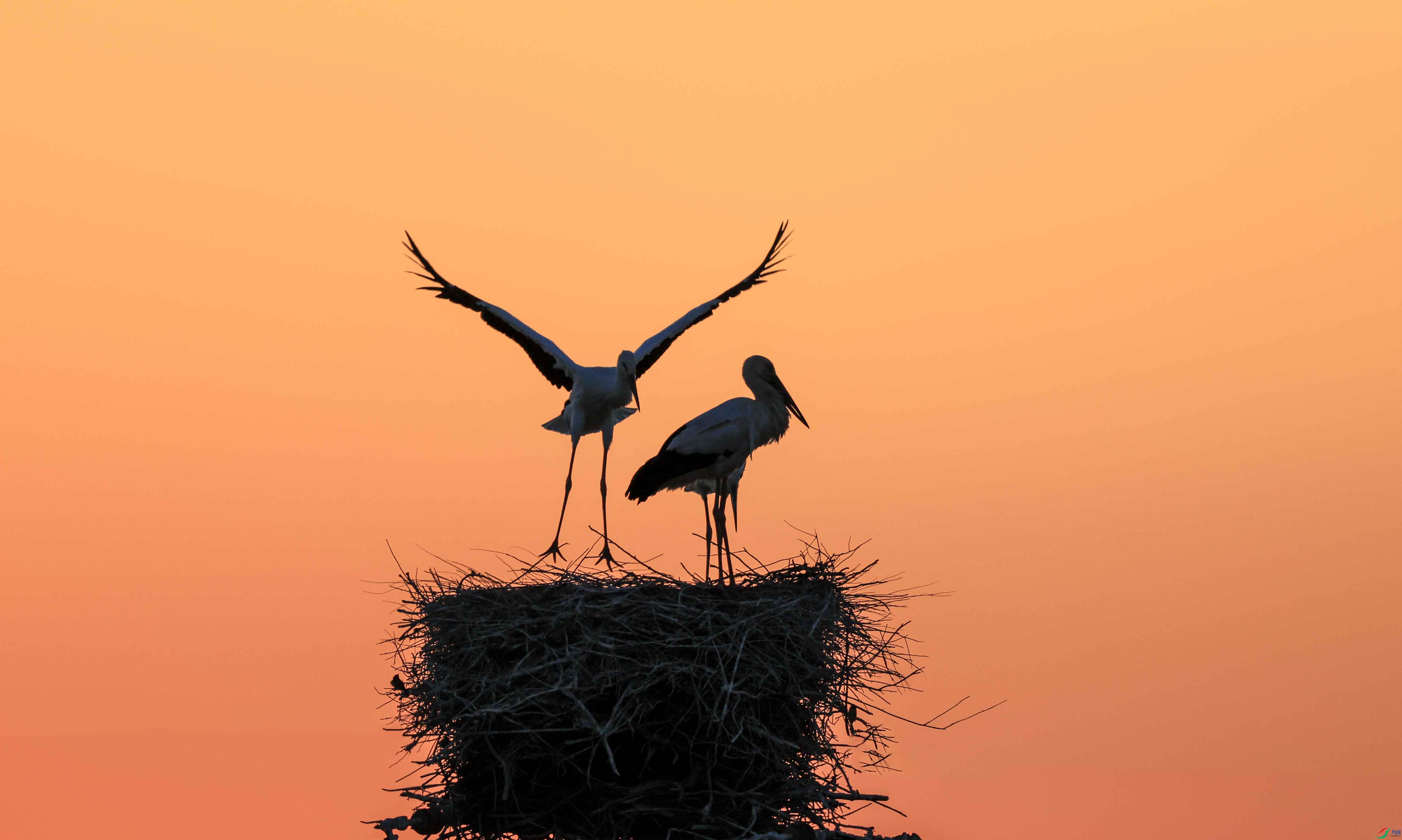 1-�糿4.39��4L2A7519 -�鳲����.jpg