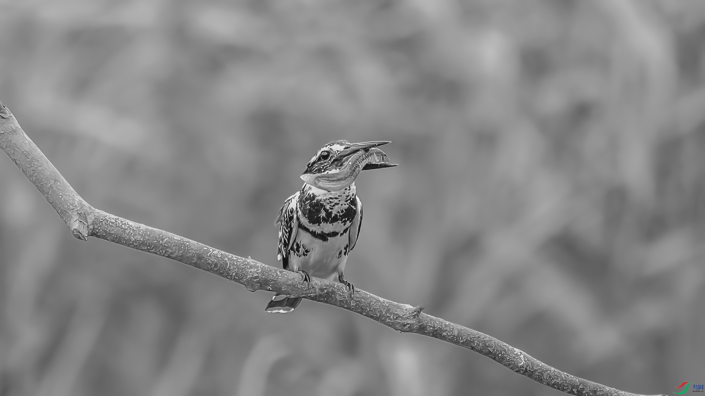 AE1V5561 ����1.jpg