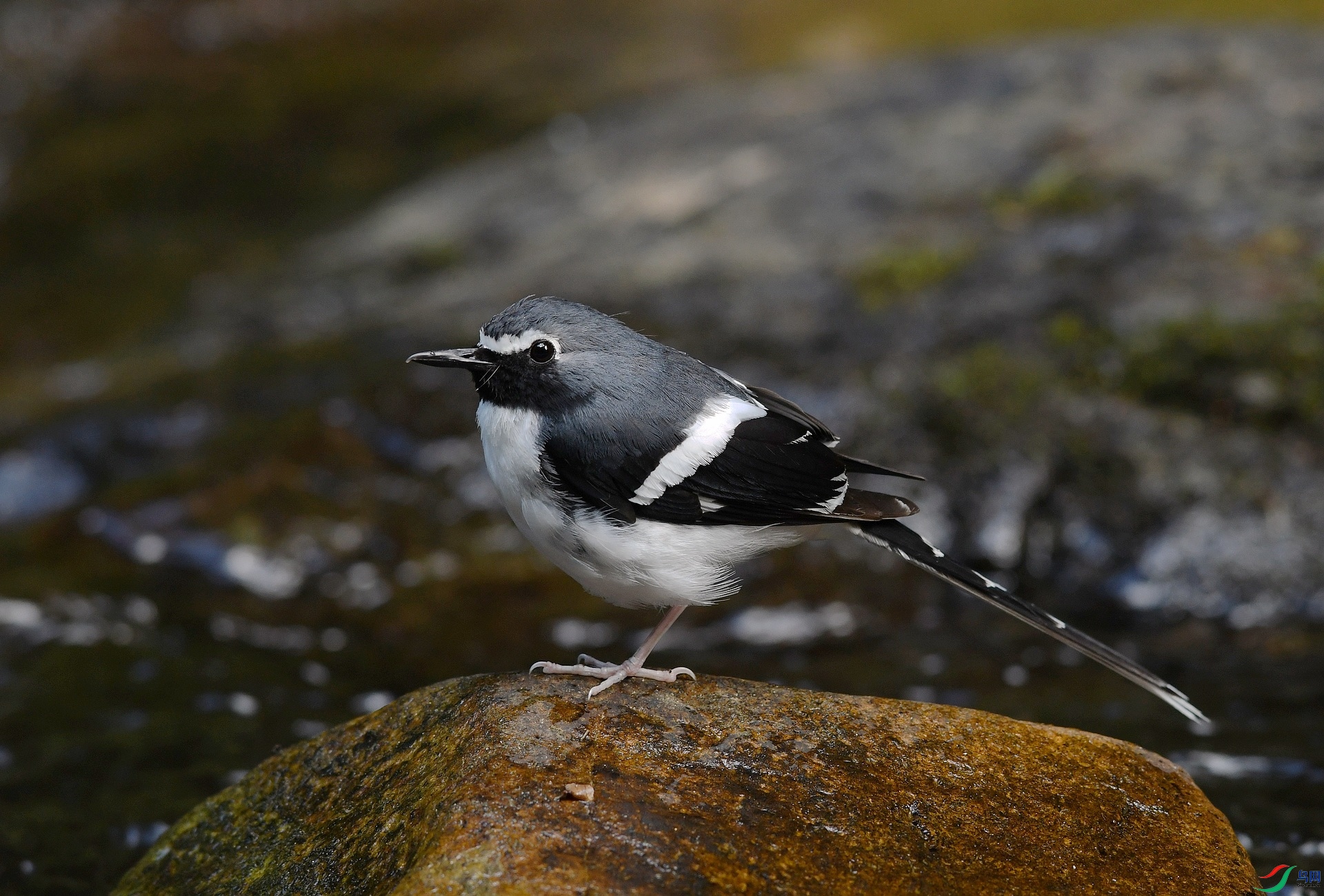 DSC_4844.jpg