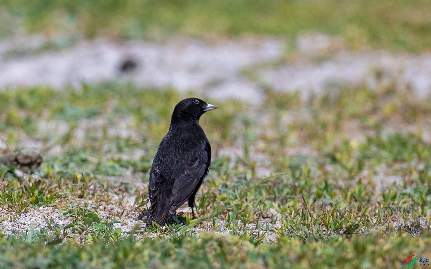 DSC_8969.jpg