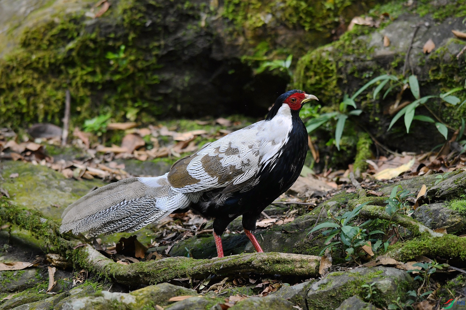 DSC_8417.jpg