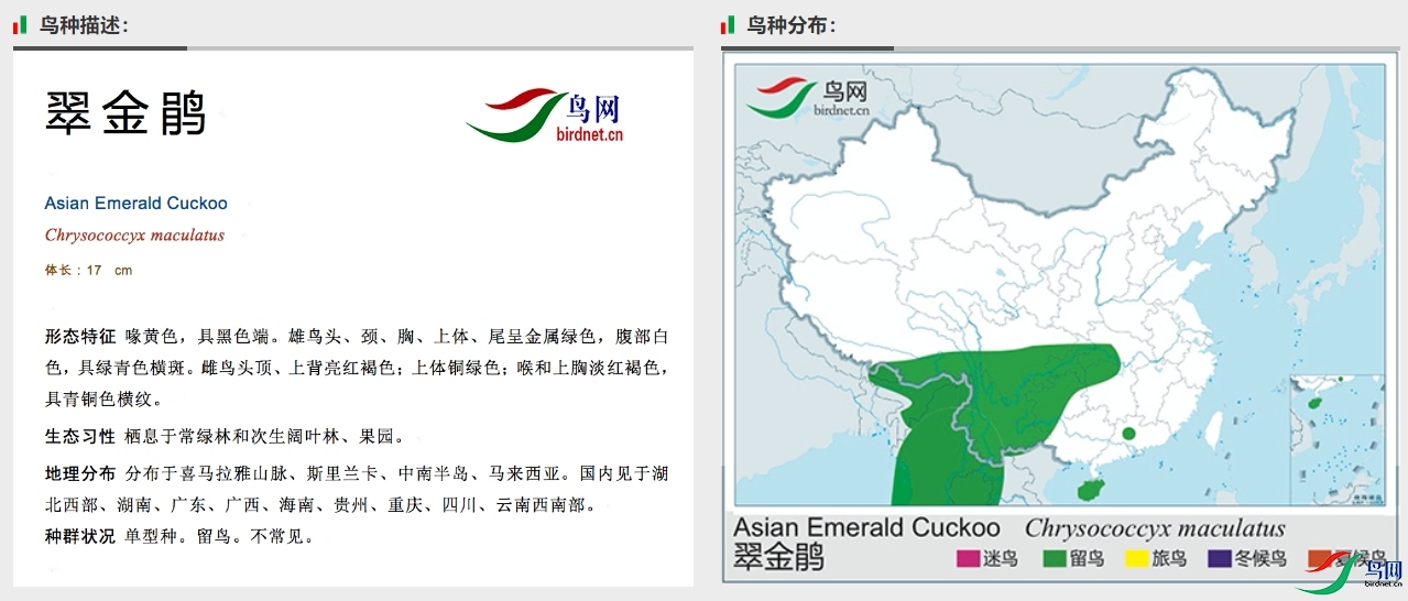 ΢�Ž�ͼ_20250622204121.png