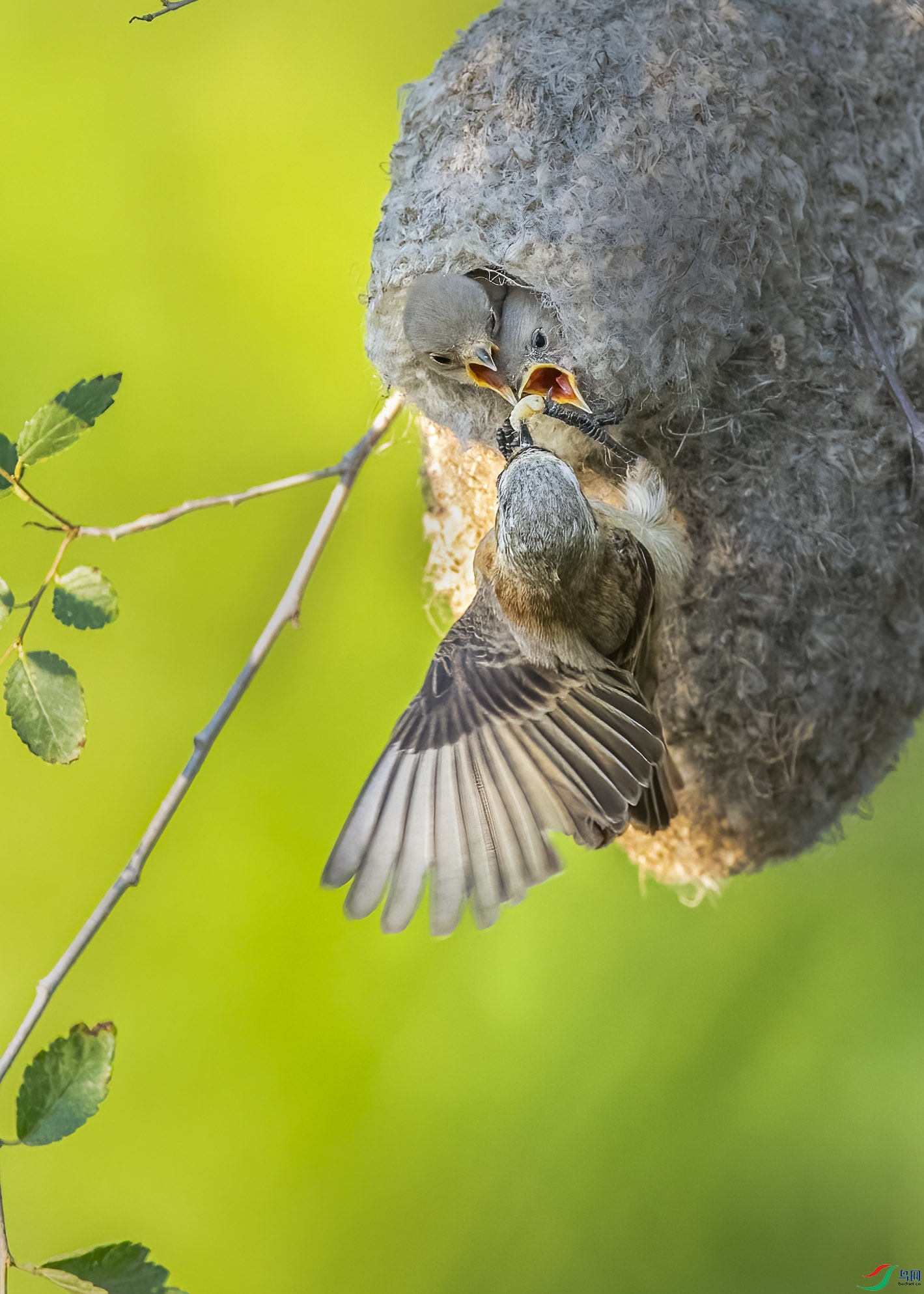 DSC_7433 ����.jpg