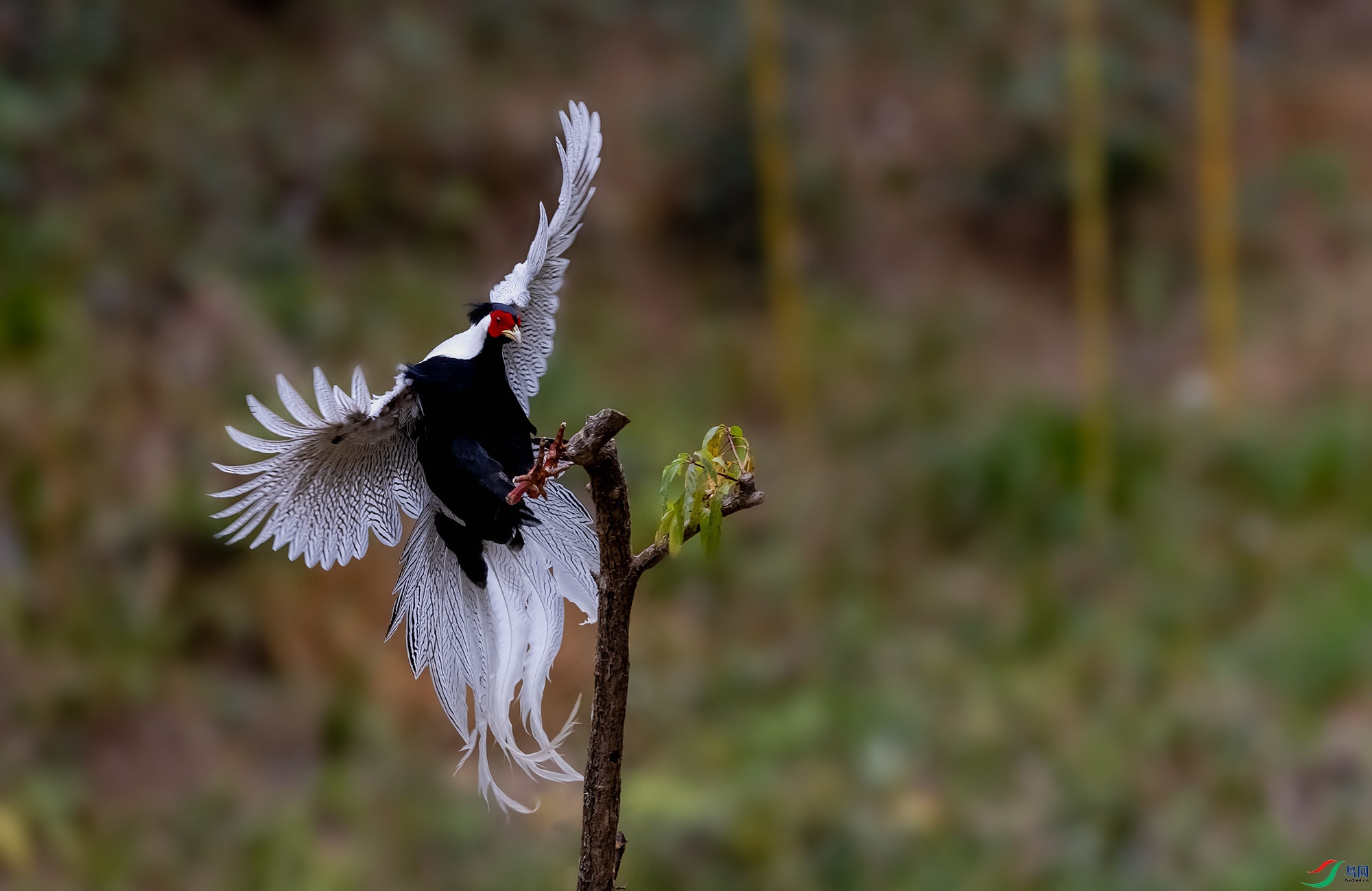 178A7350-1.jpg