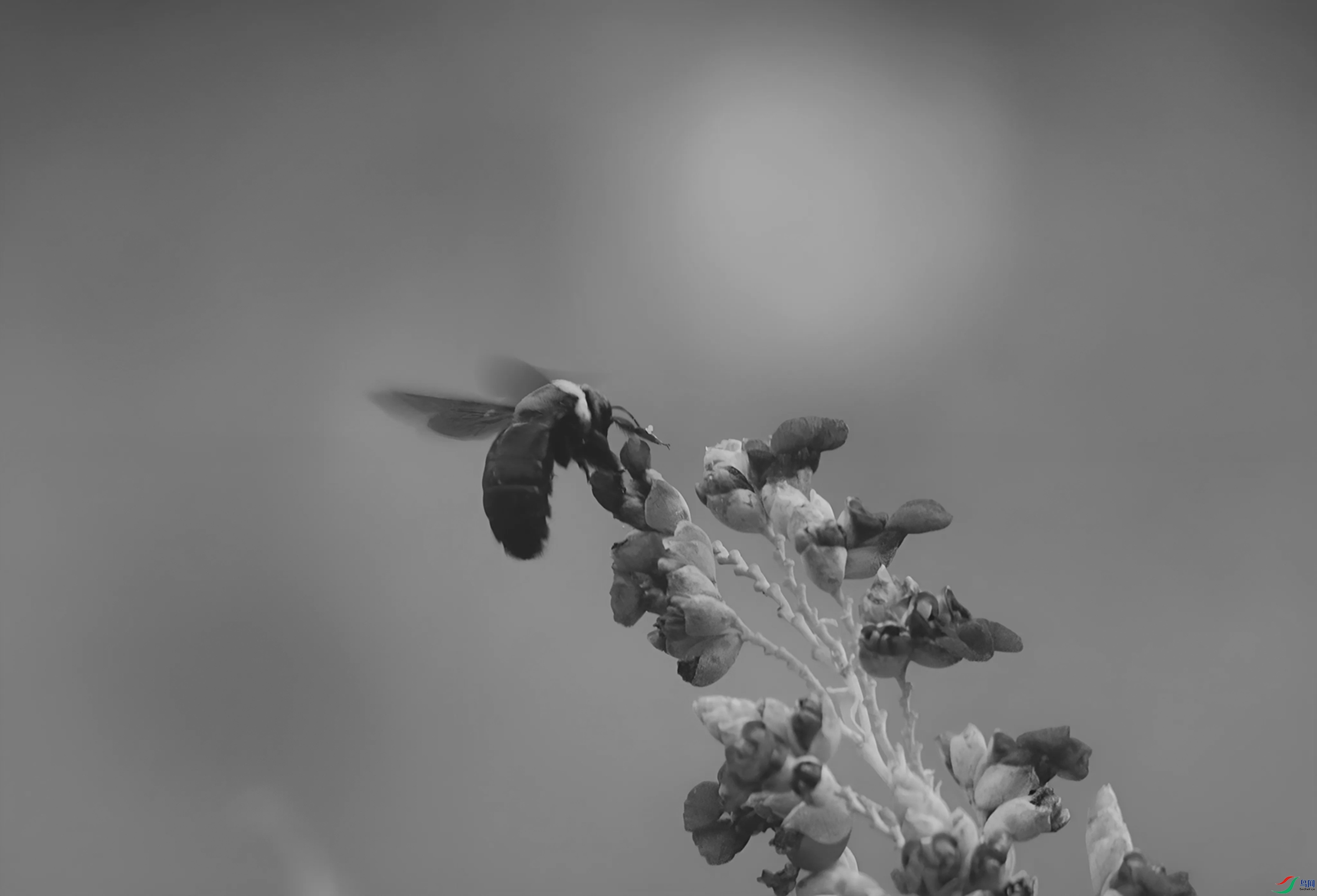 027A0846_����.jpg