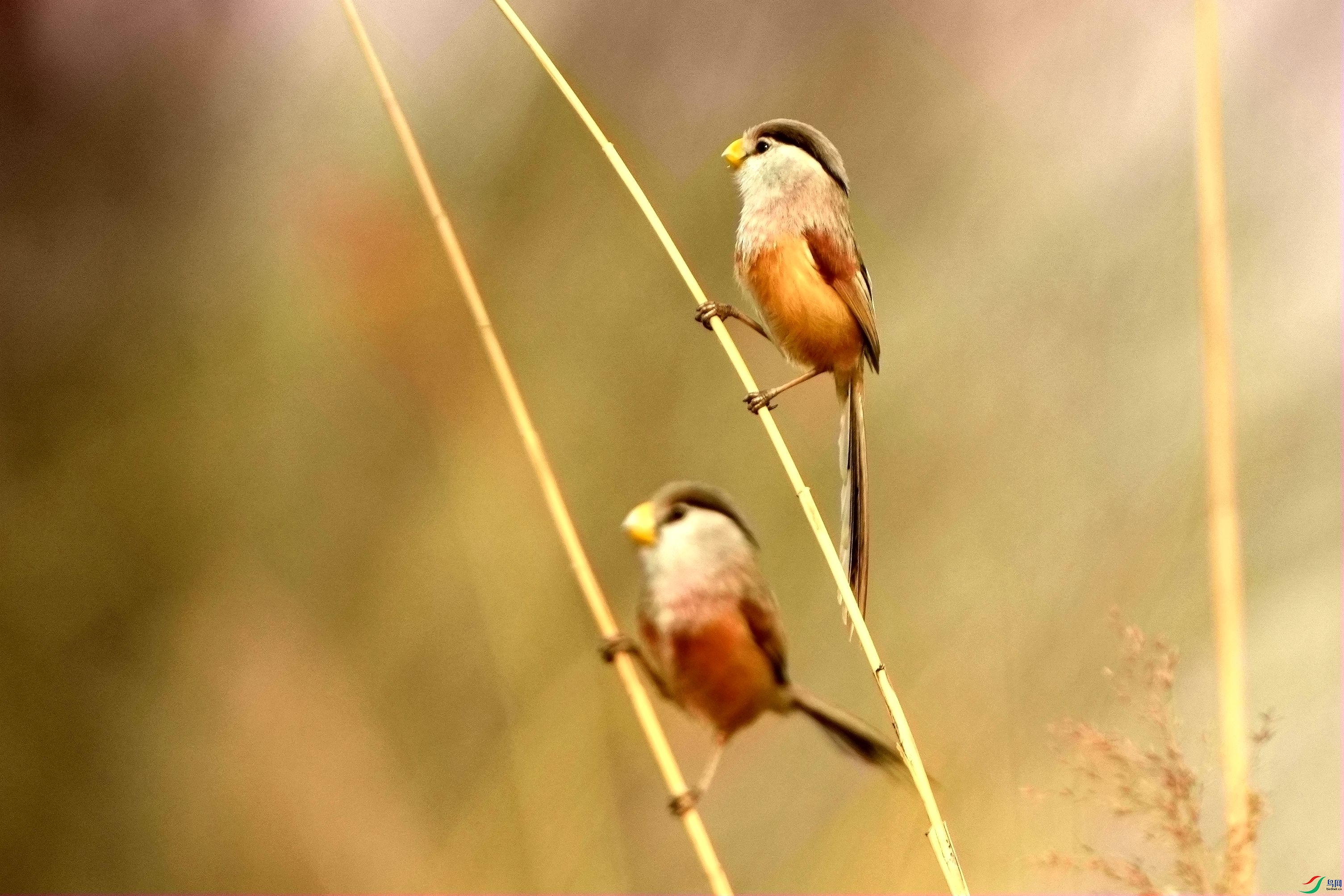 «������DSC07894_����.jpg