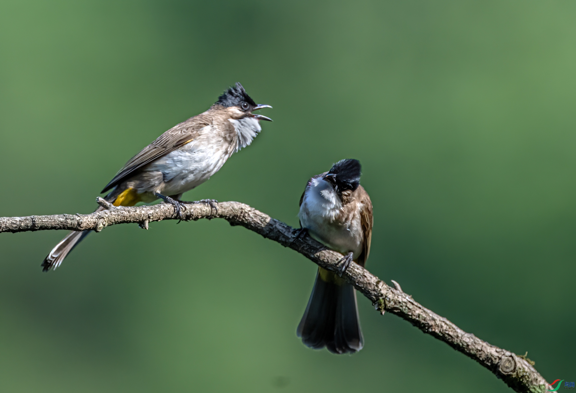 DSC_5259-11.jpg