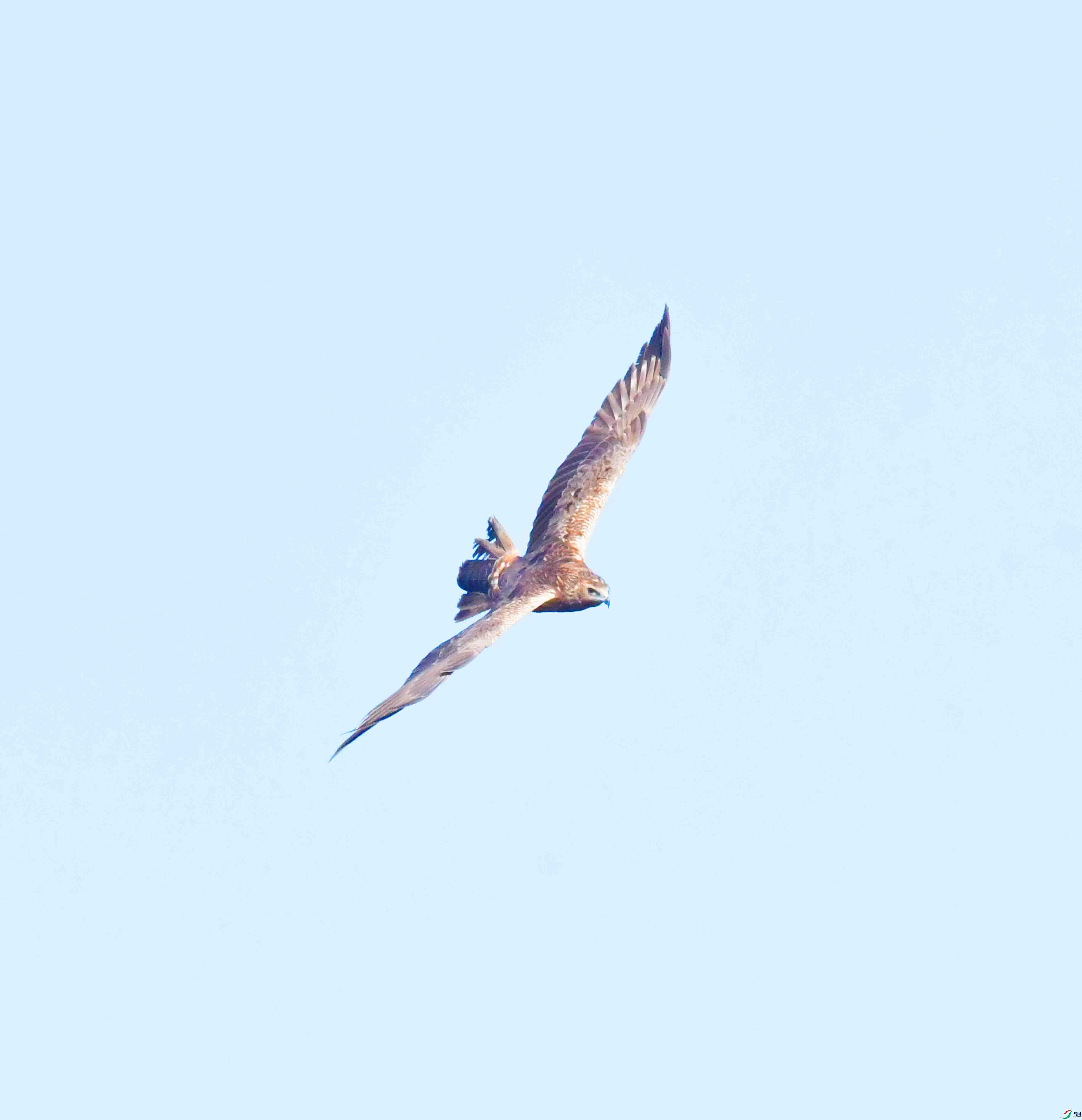 DSC_8186.JPG