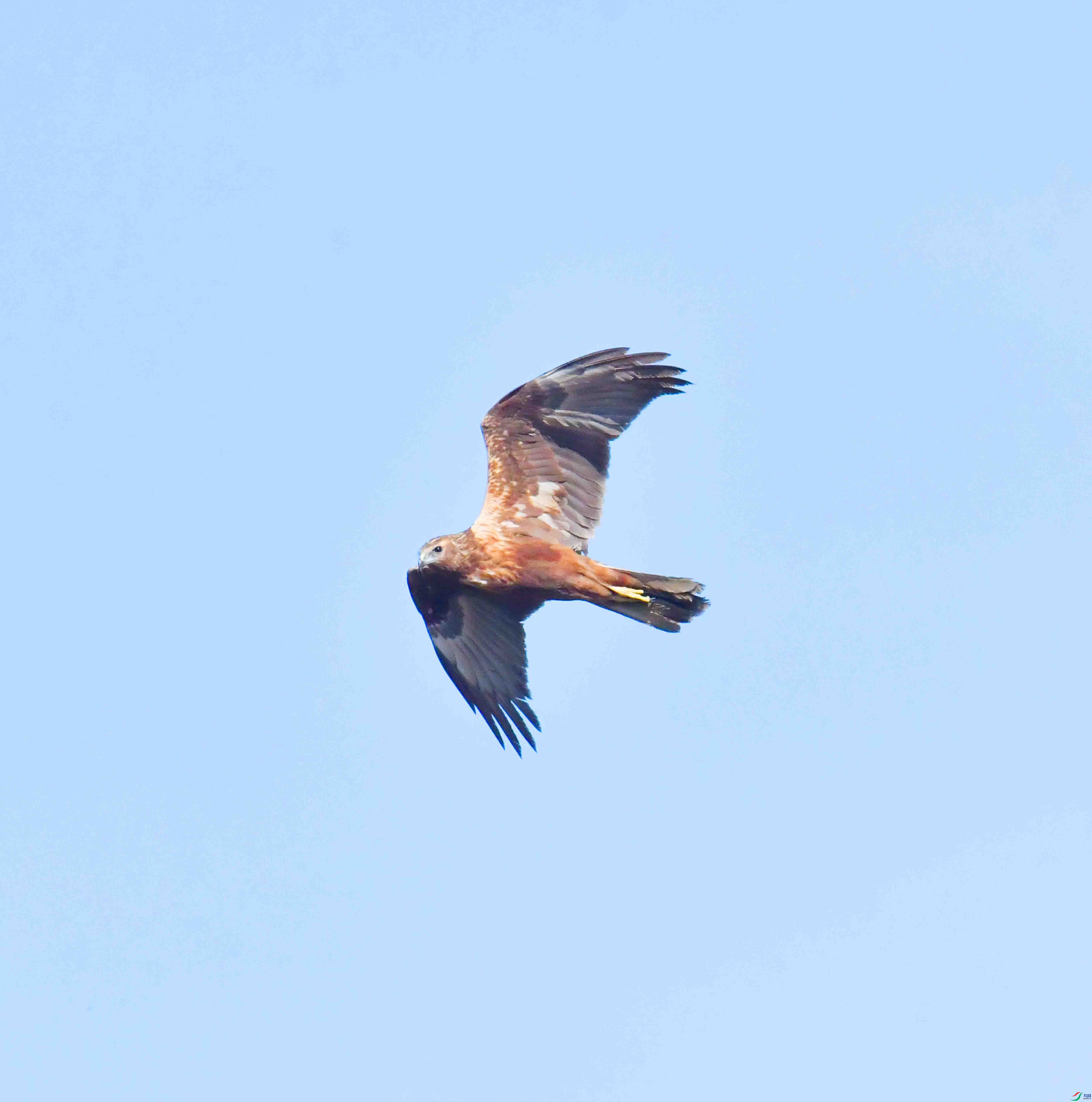 DSC_8192.JPG