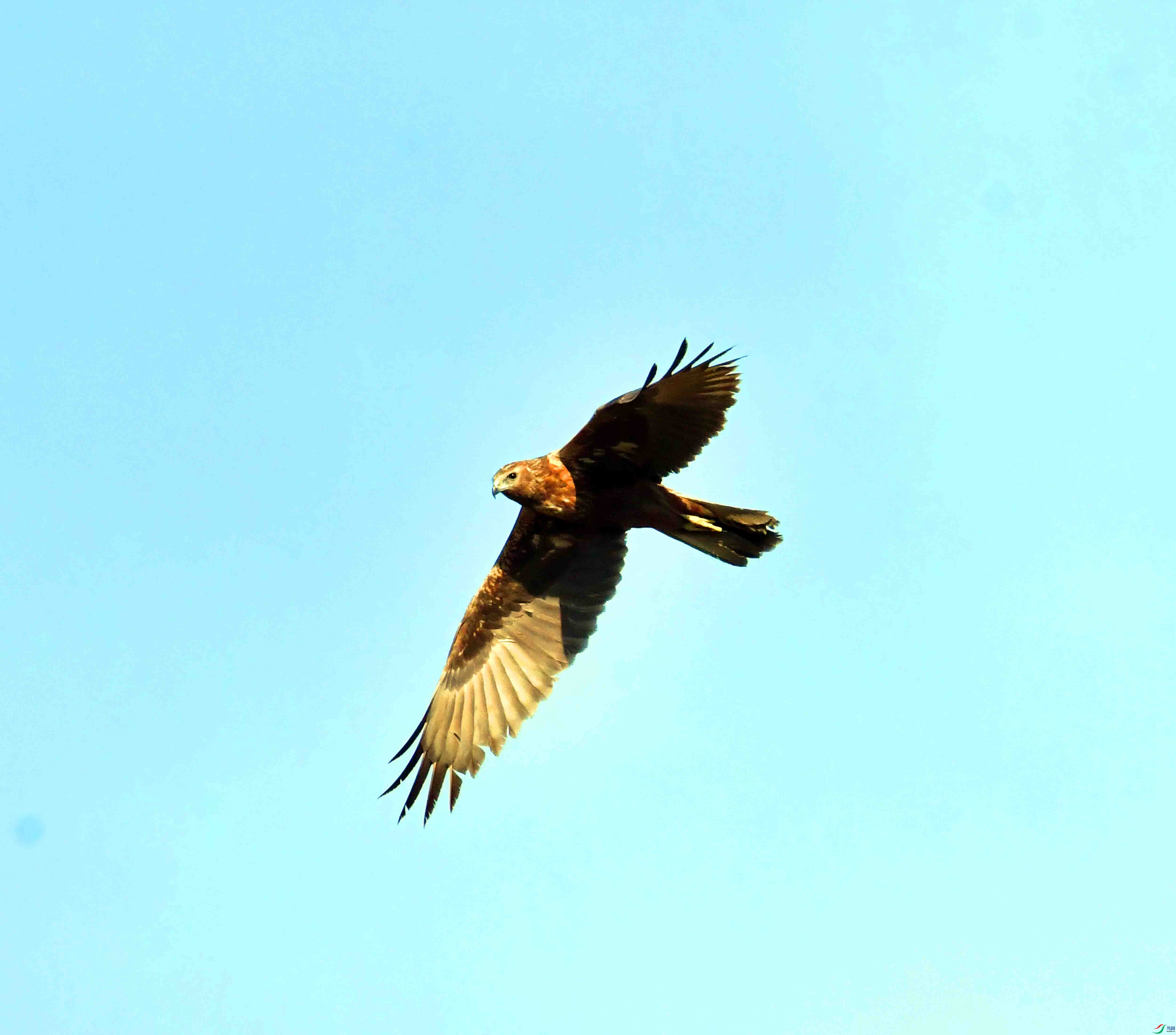 DSC_8191.JPG