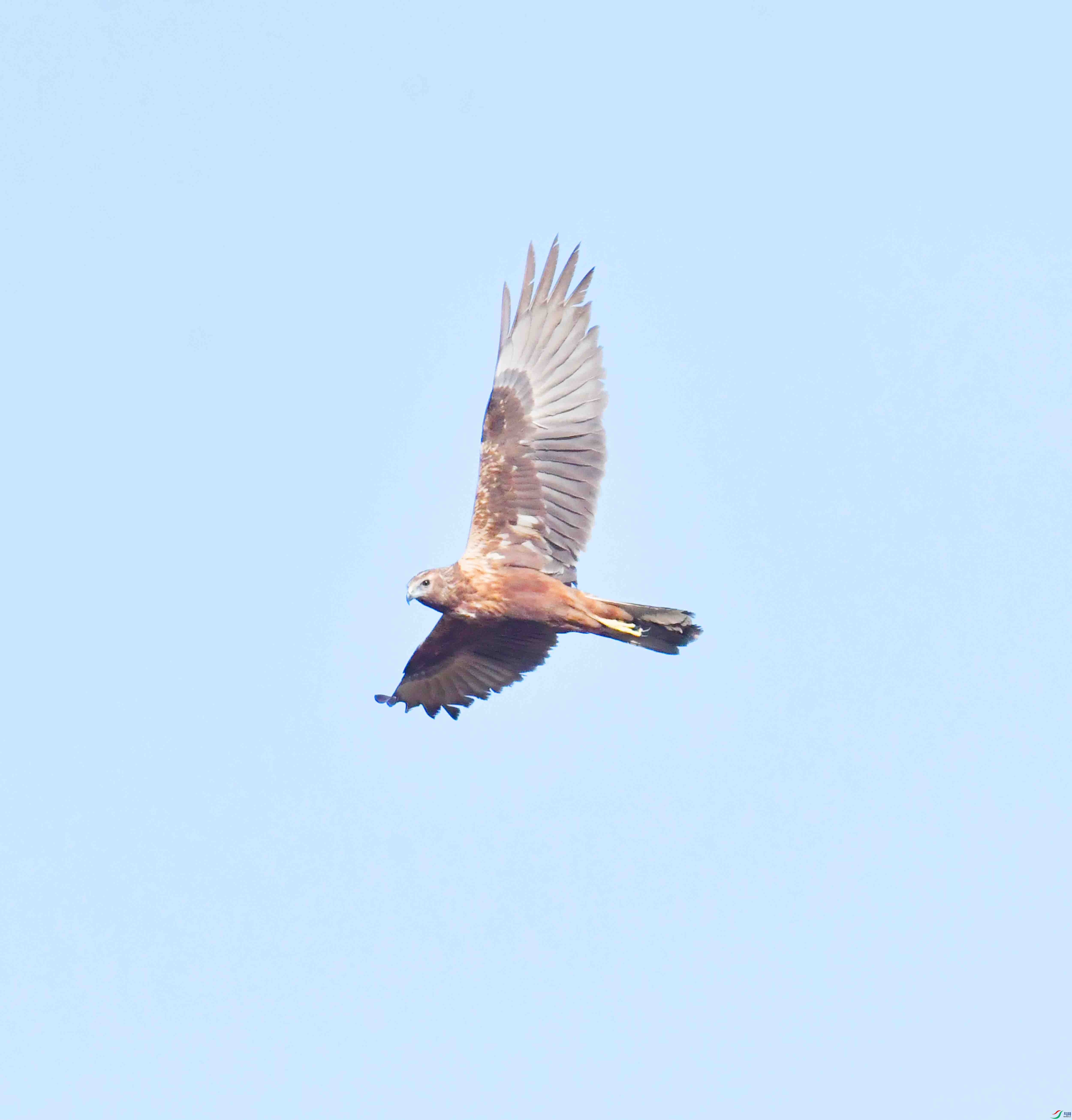 DSC_8193.JPG