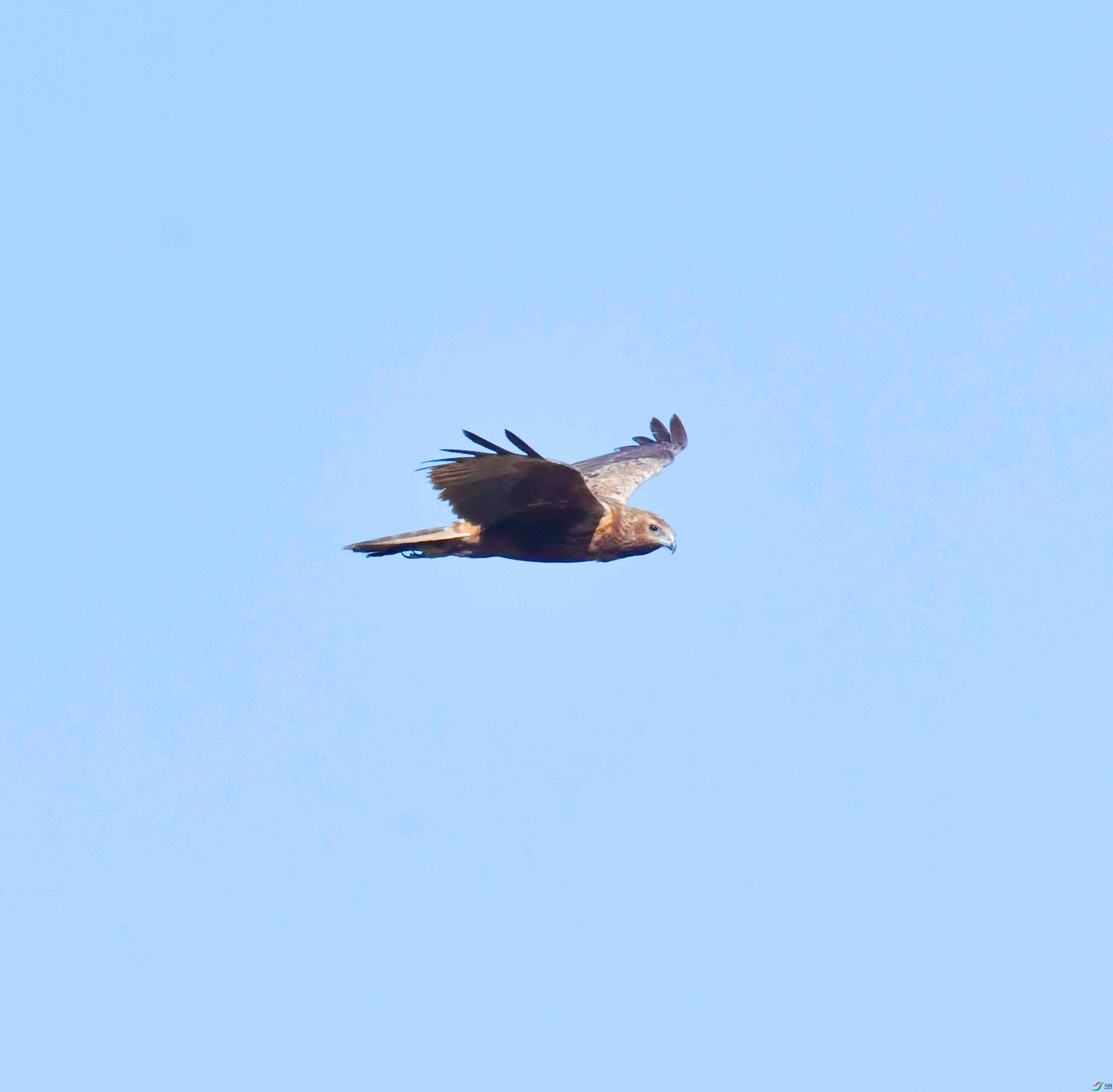 DSC_8200.JPG