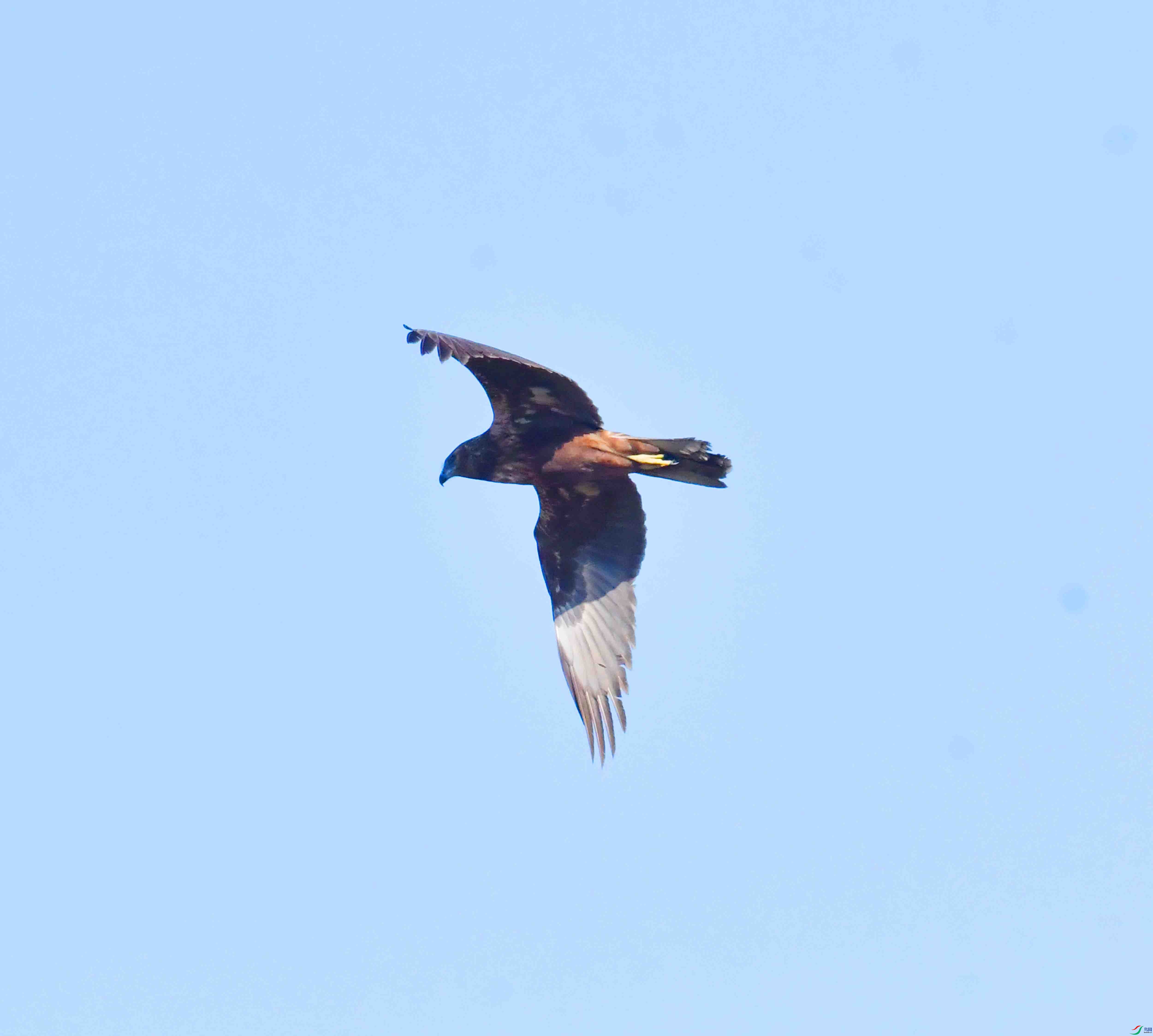 DSC_8195.JPG