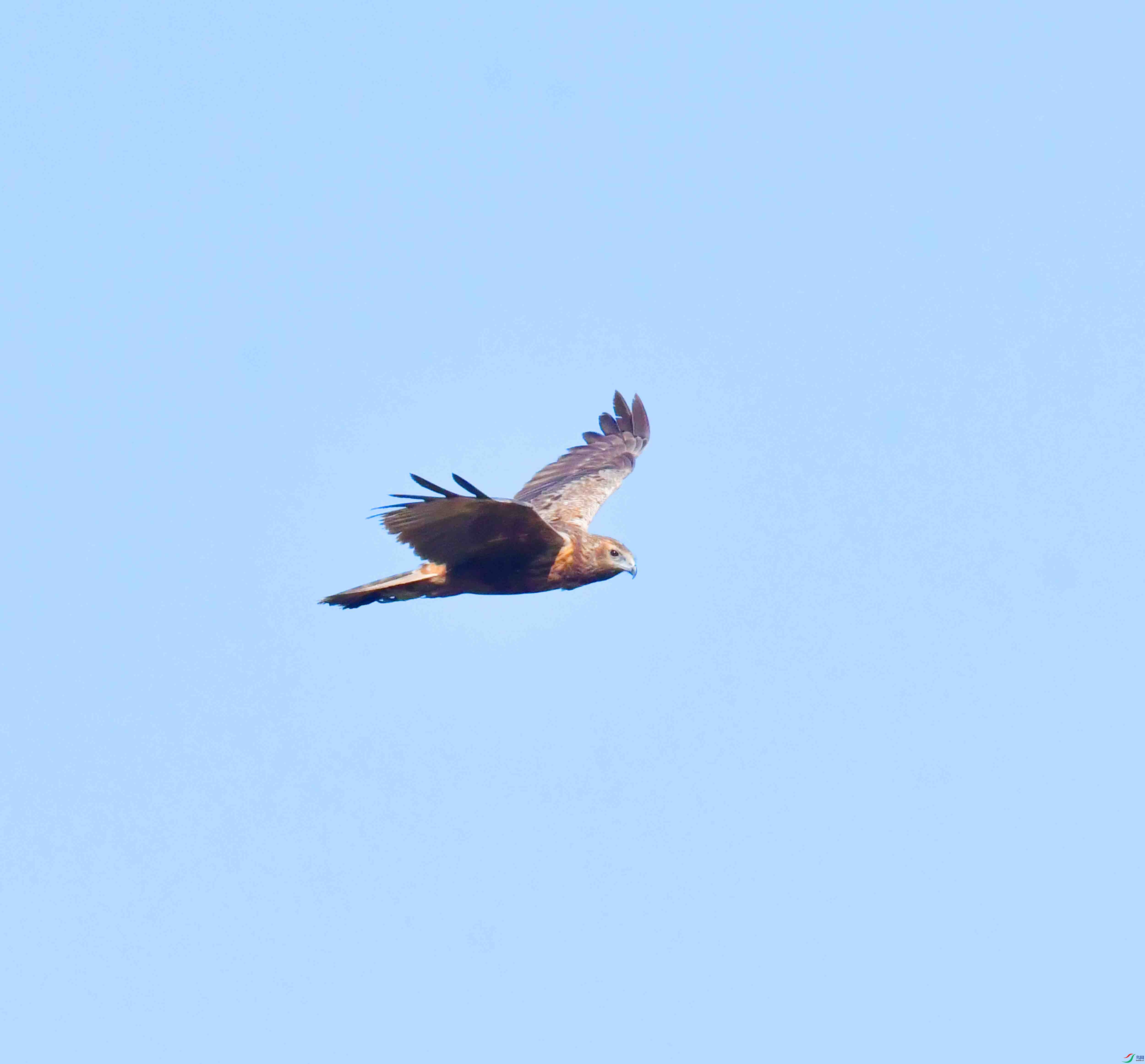 DSC_8202.JPG