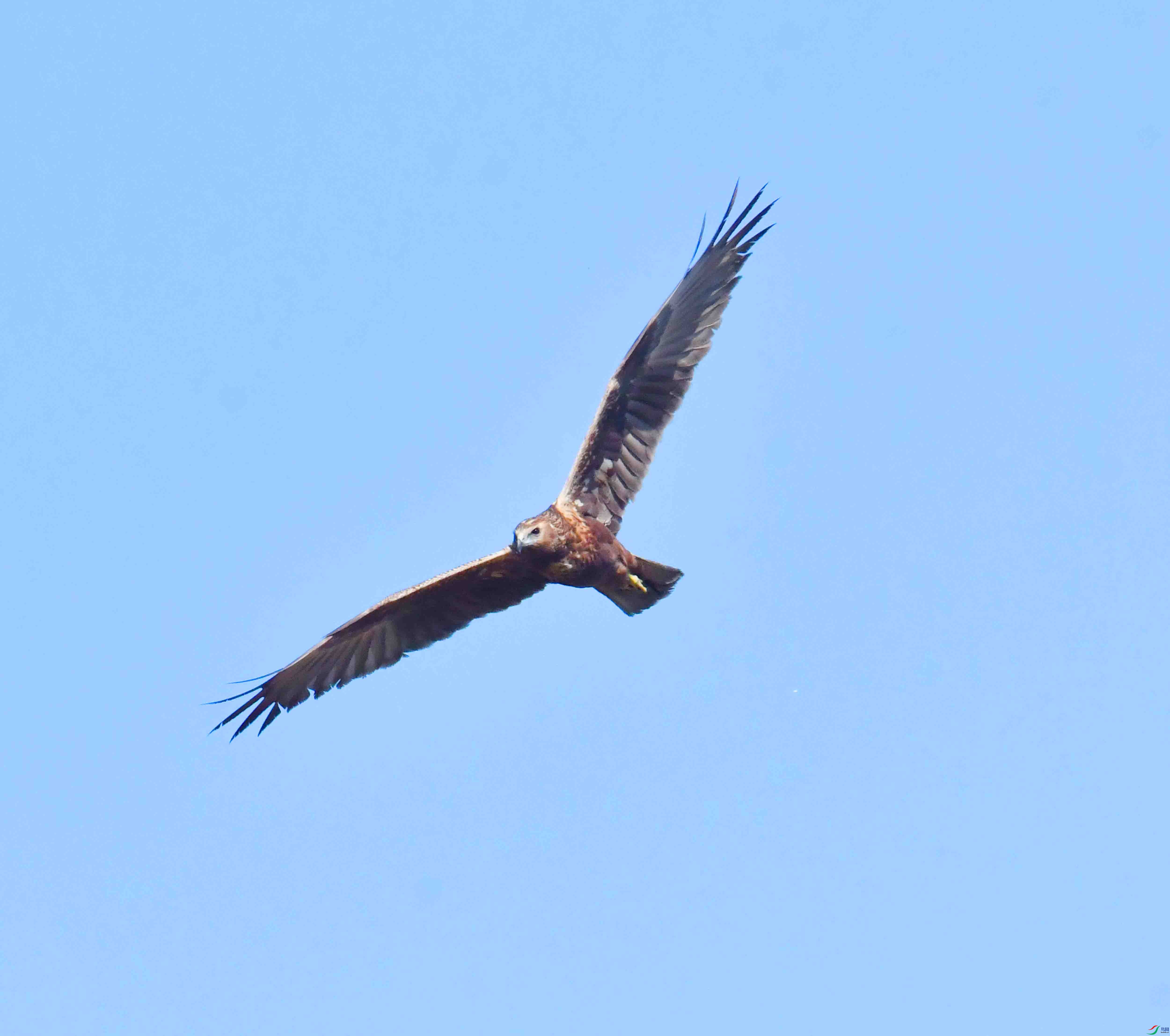 DSC_8208.JPG