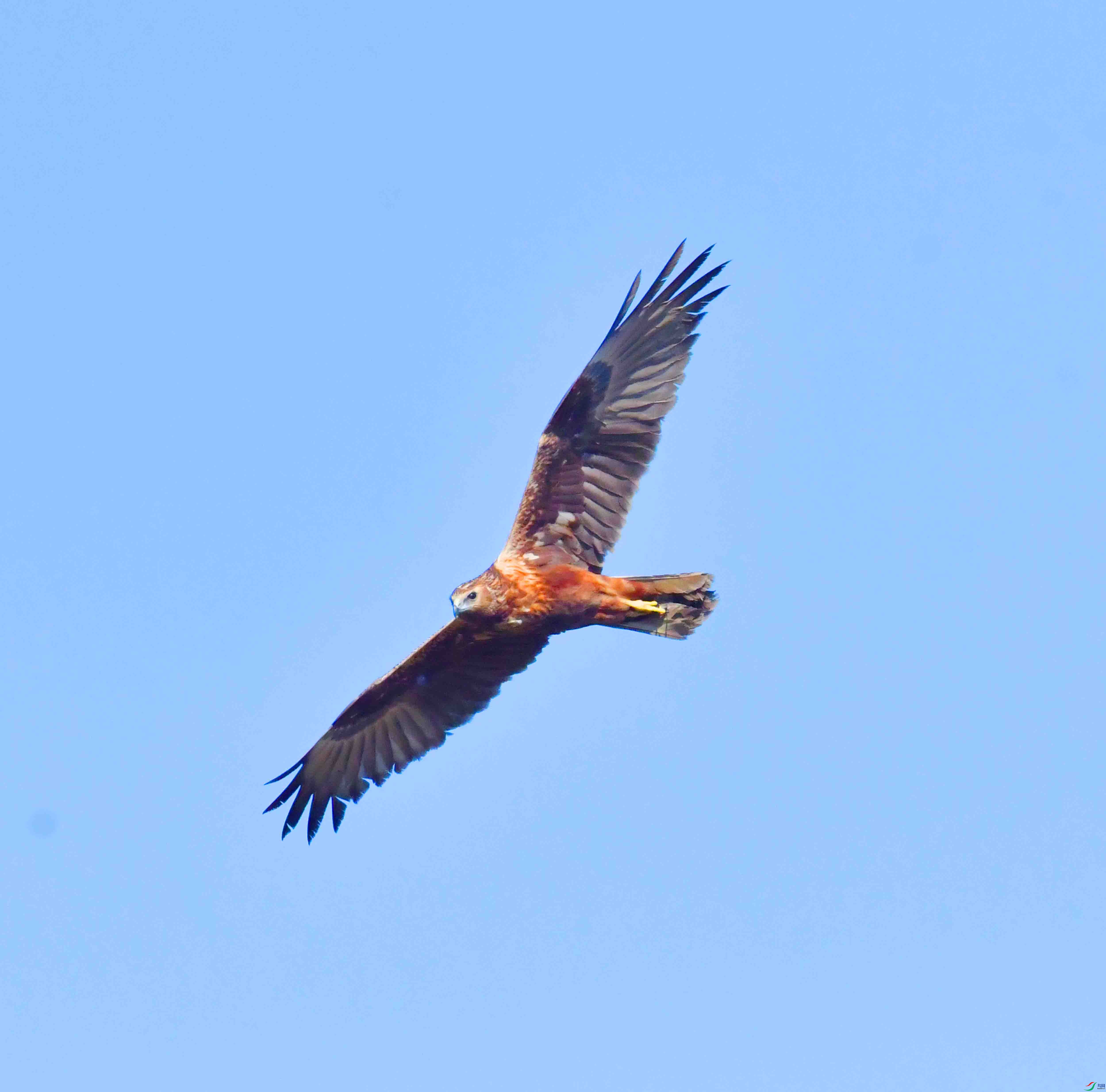 DSC_8209.JPG