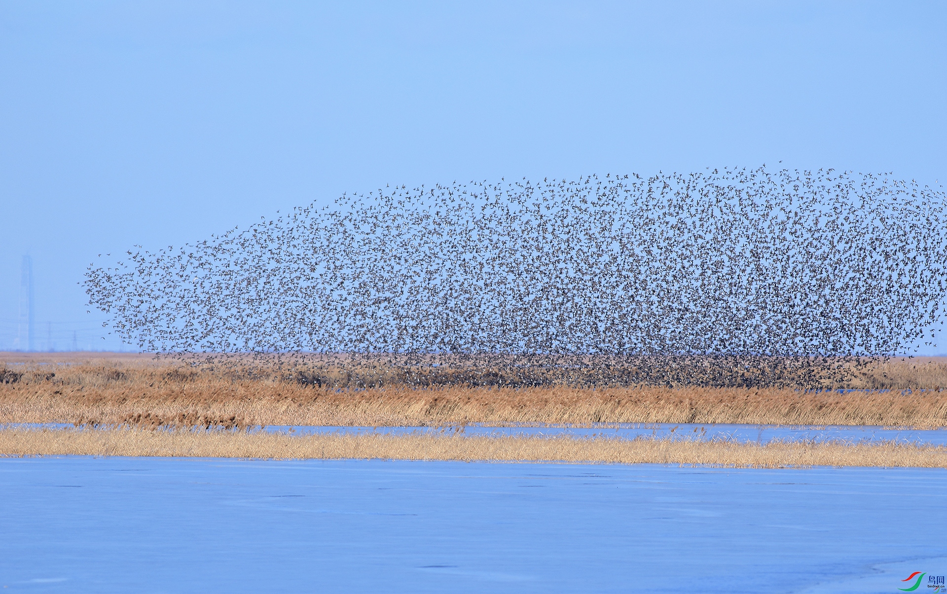 110527r0uusxuh7isuudhc ����.jpg