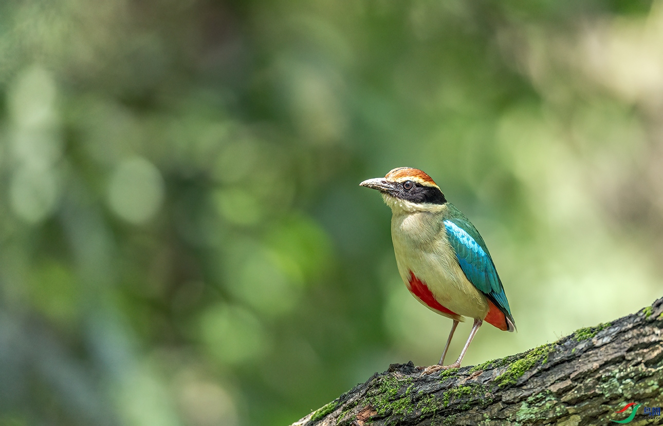 _C2A8185 ����.jpg