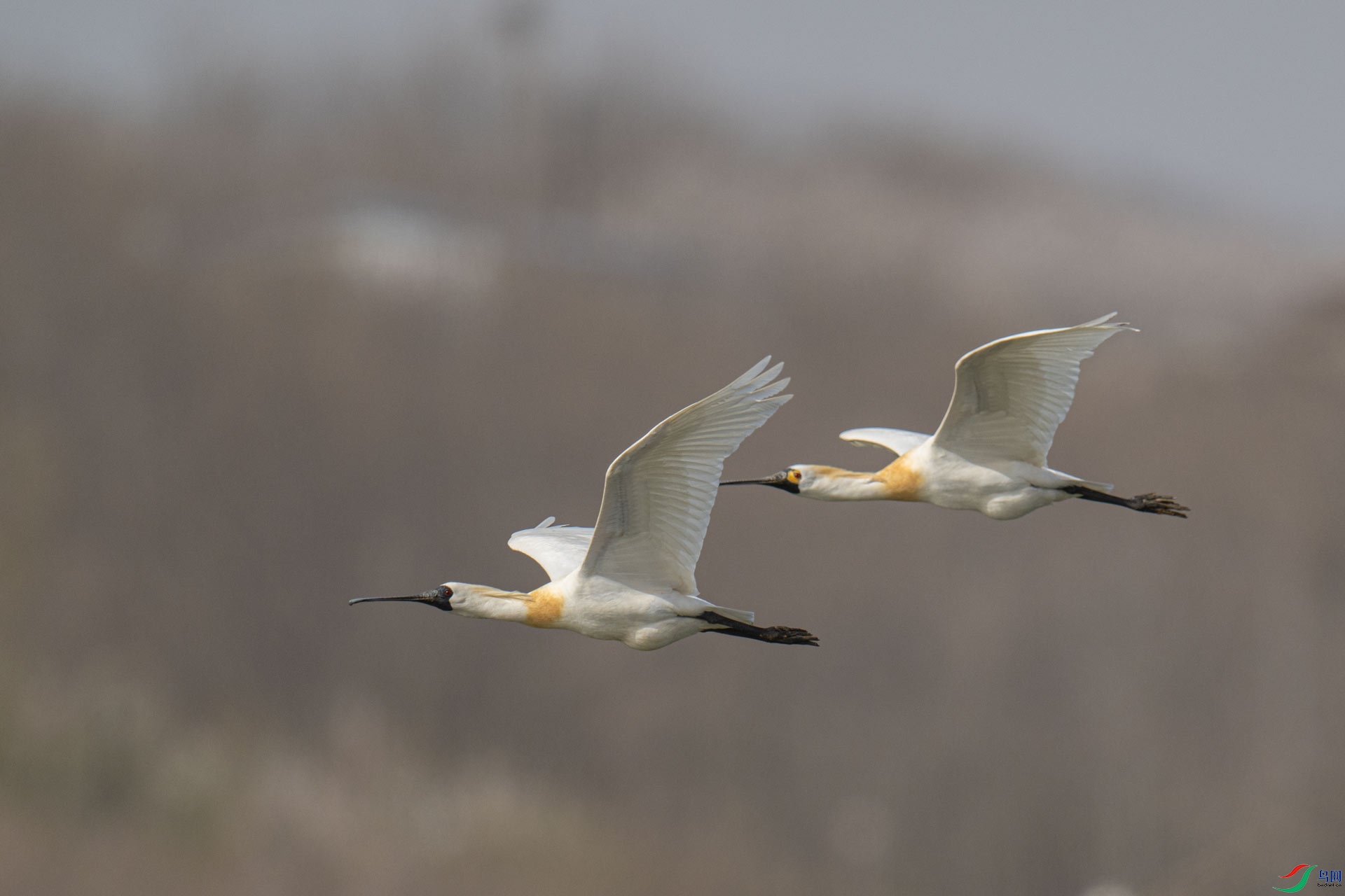 _DSC9050-1x7.jpg