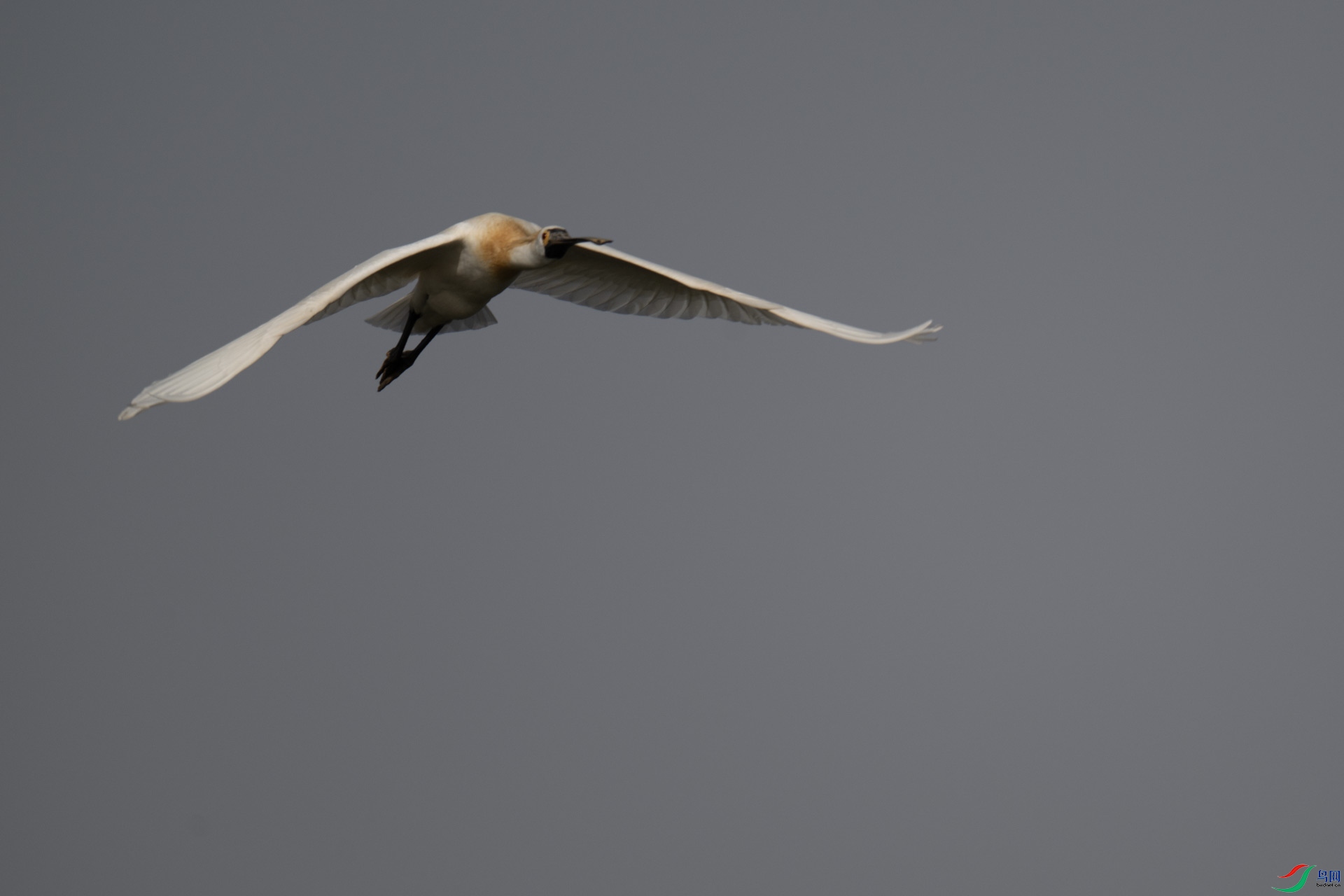_DSC9063-1x19.jpg