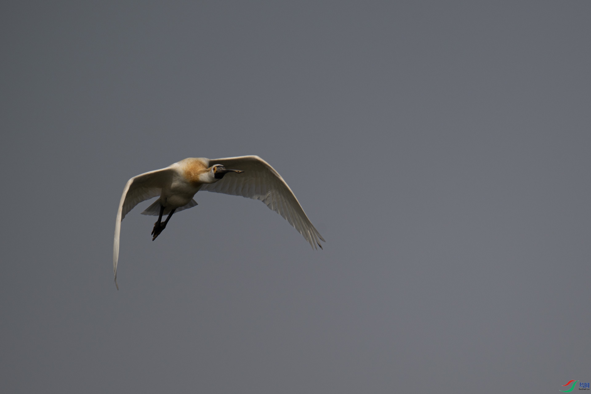 _DSC9064-1x20.jpg