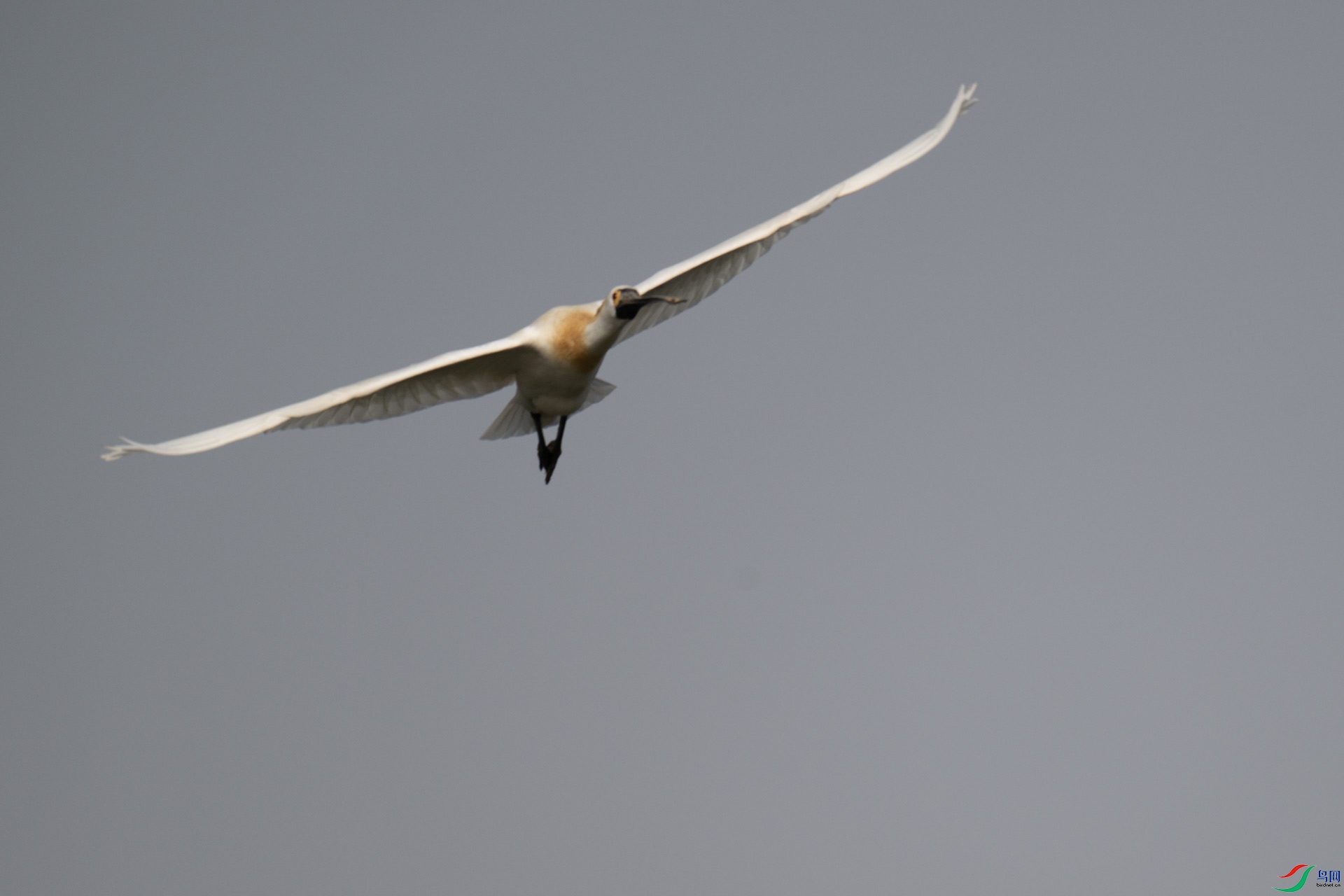 _DSC9067-1x22.jpg