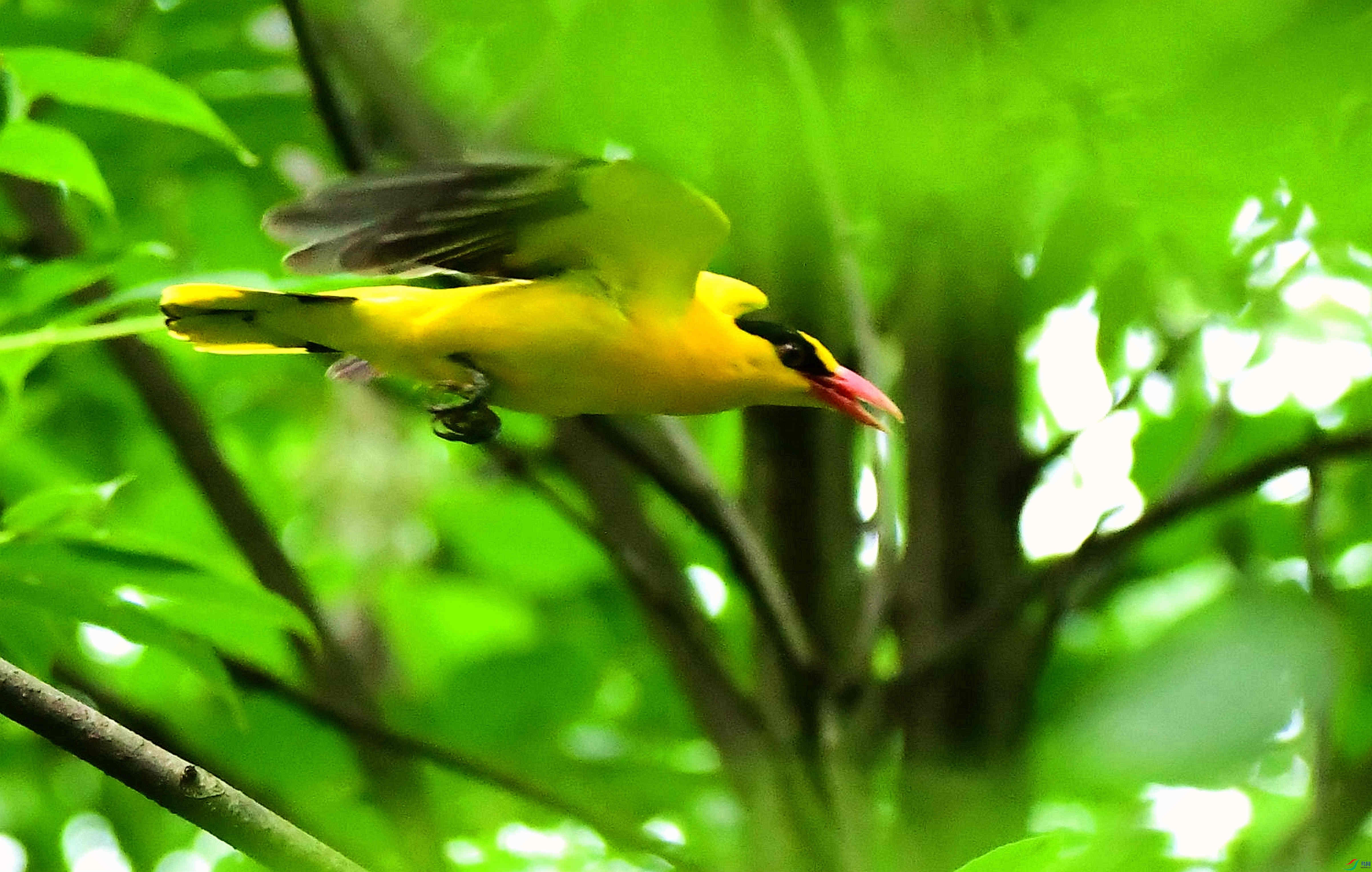 DSC_7626_����.jpg