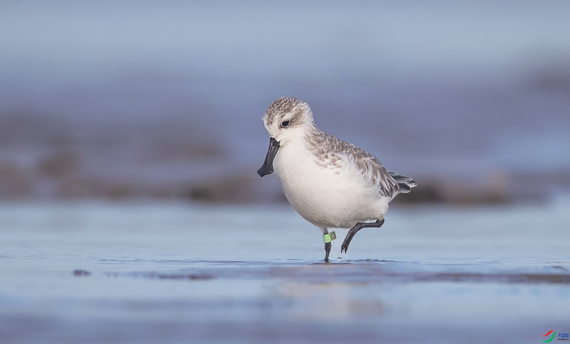 ÿ�ռ��� ����־��������  ���� �ܷ� ��һ.jpeg