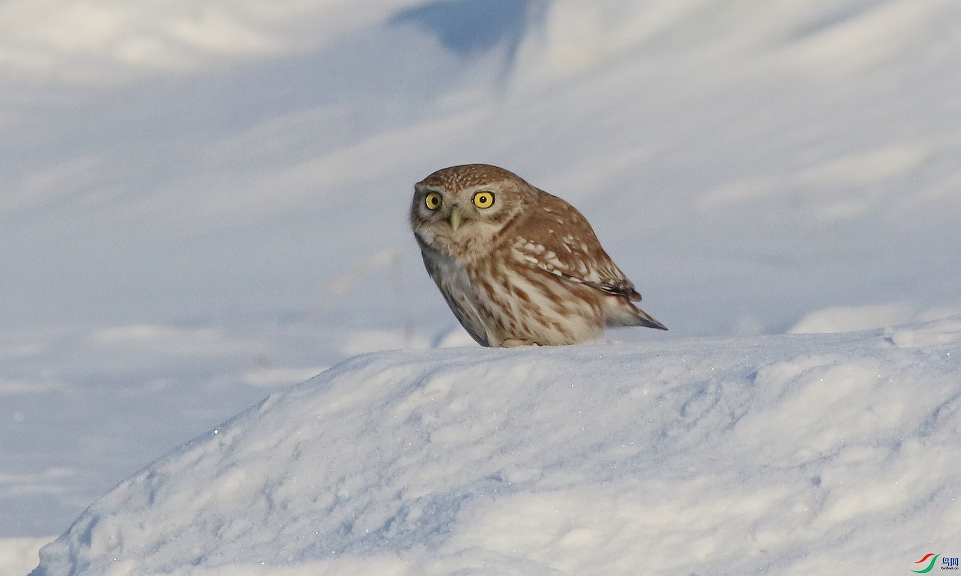 0G1A7945 ����.jpg