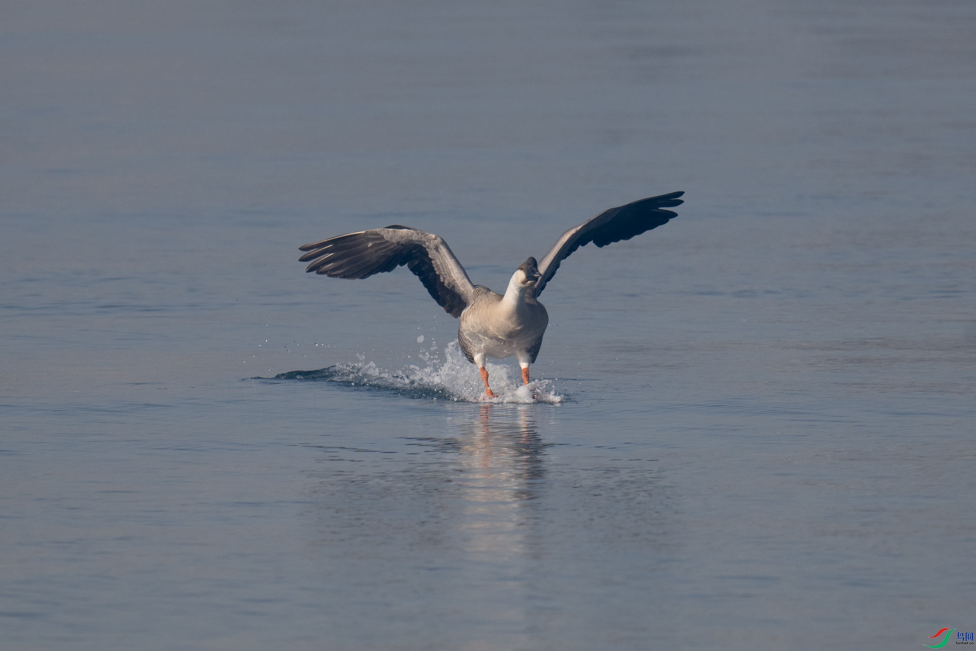 _DSC5125-1x24.jpg