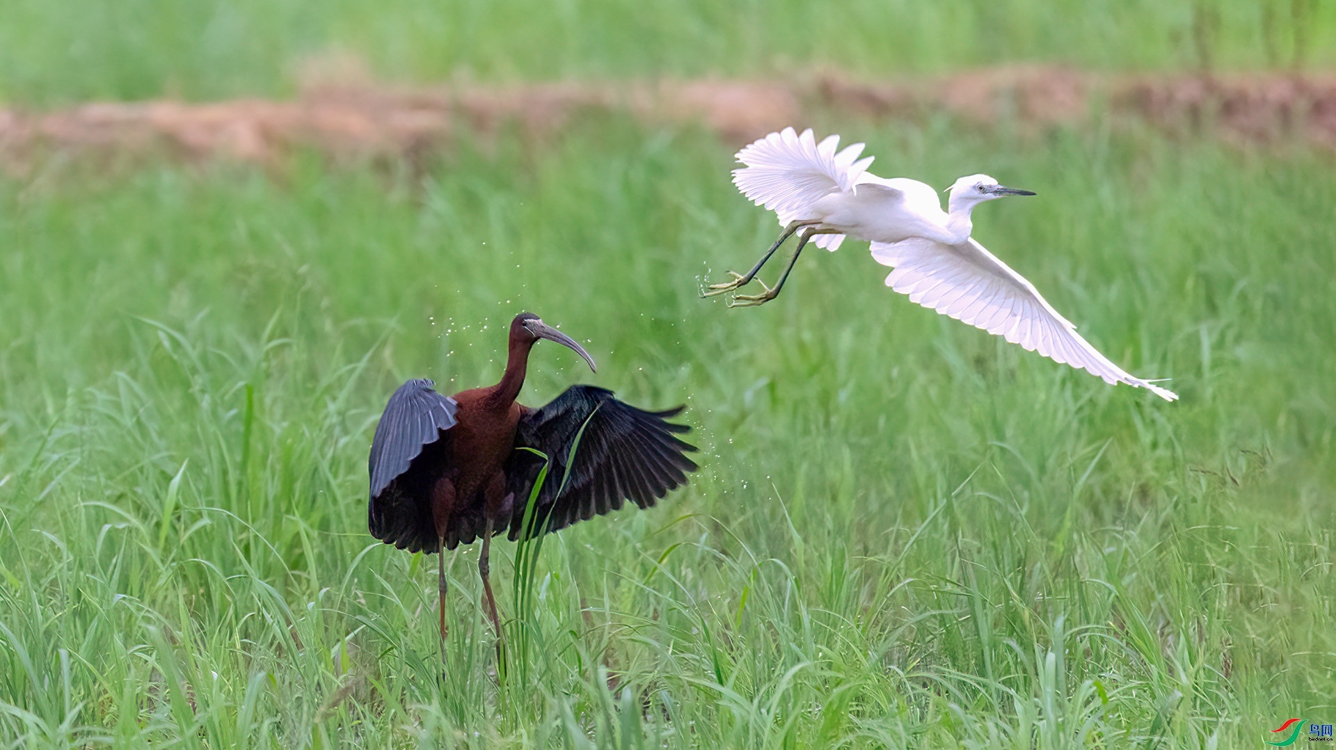 �����Ҳ��q�ĵ���  ���� ����.jpg