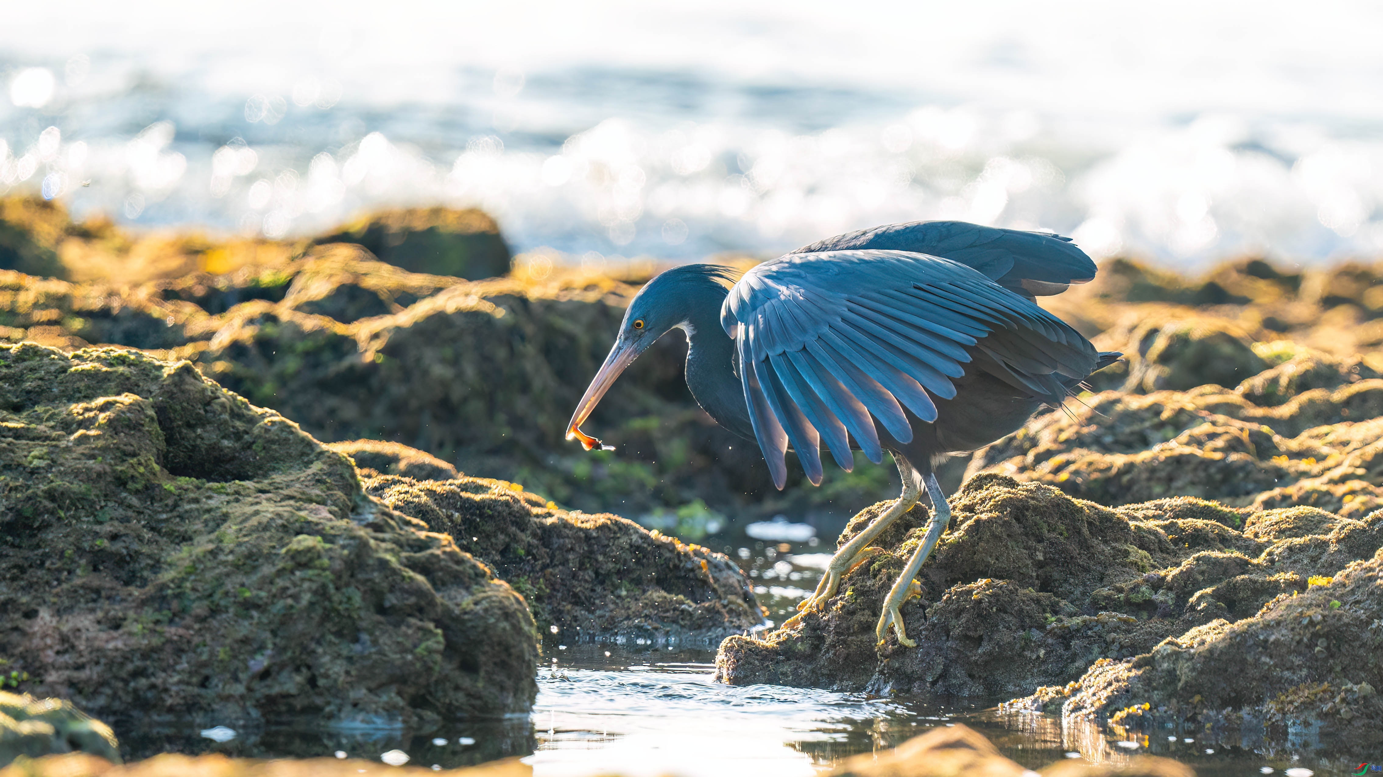 �Ϻ�������  ���� ����.jpg