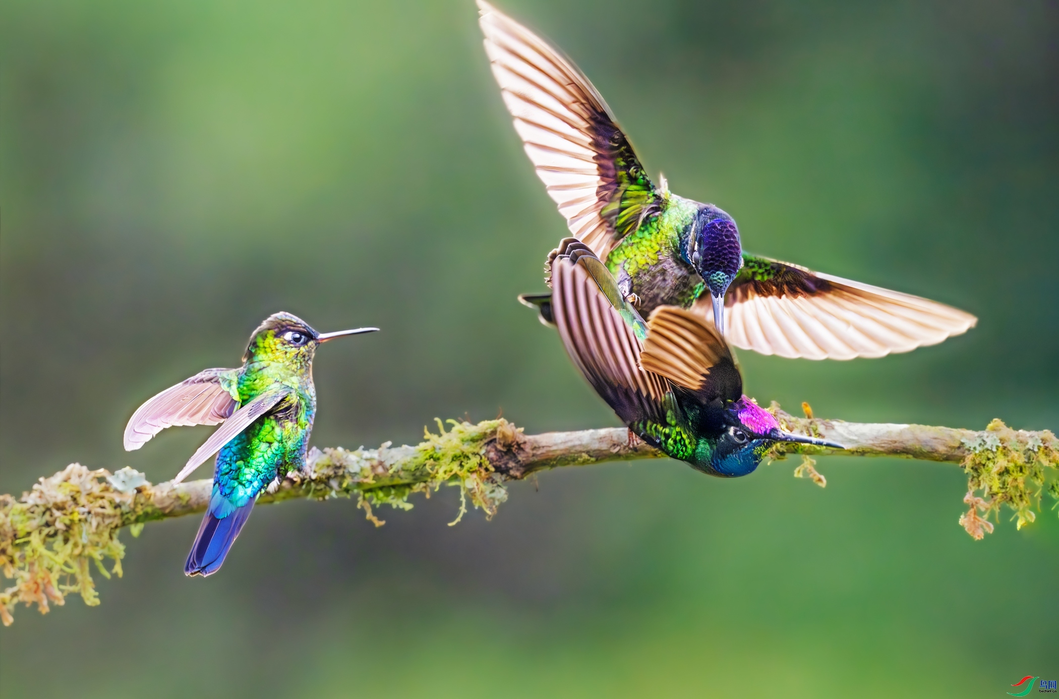 ����  ���� �������� ����.jpg