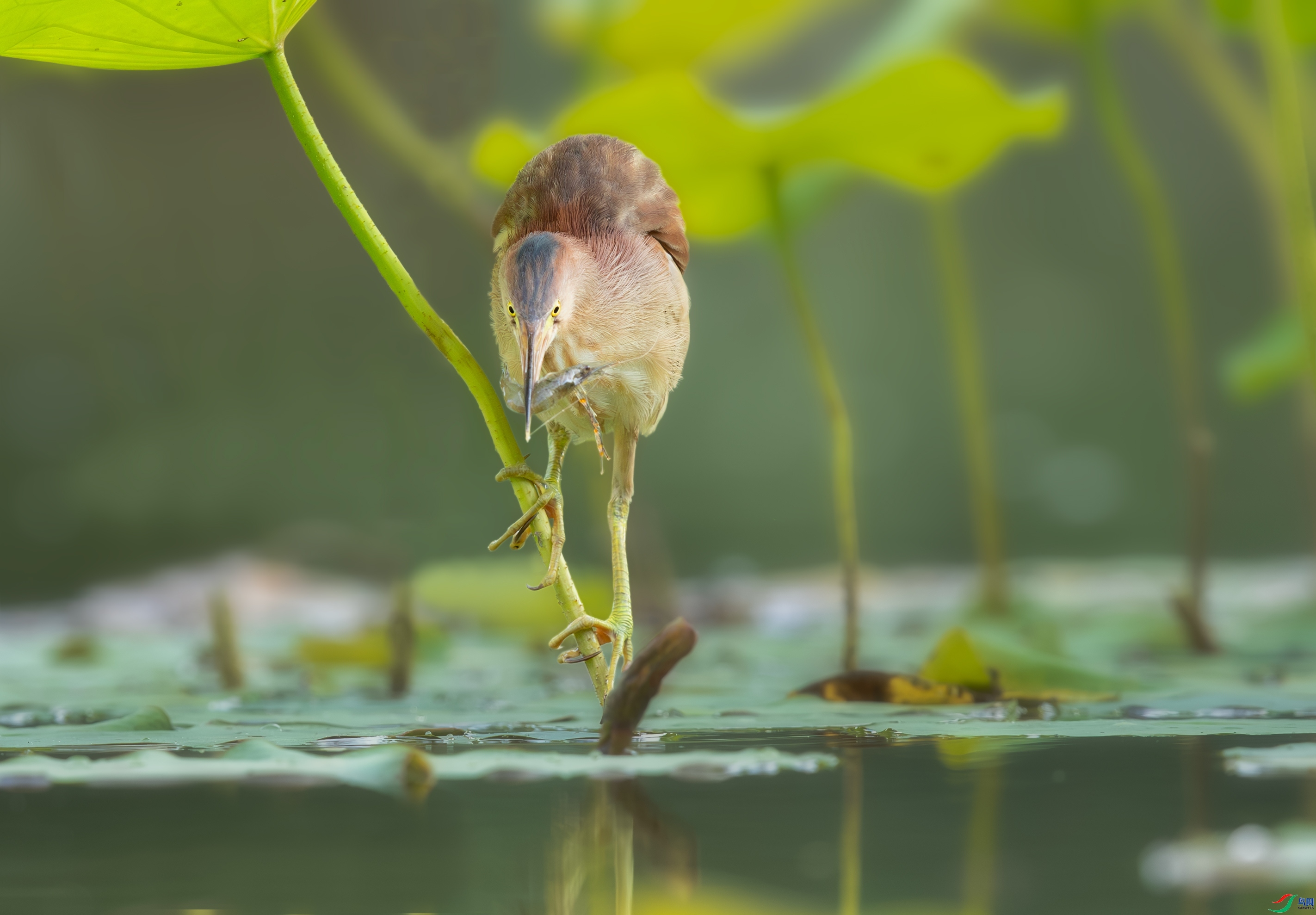 ������ζ-�Sβ�Z  ���� һ·���� ����.jpg