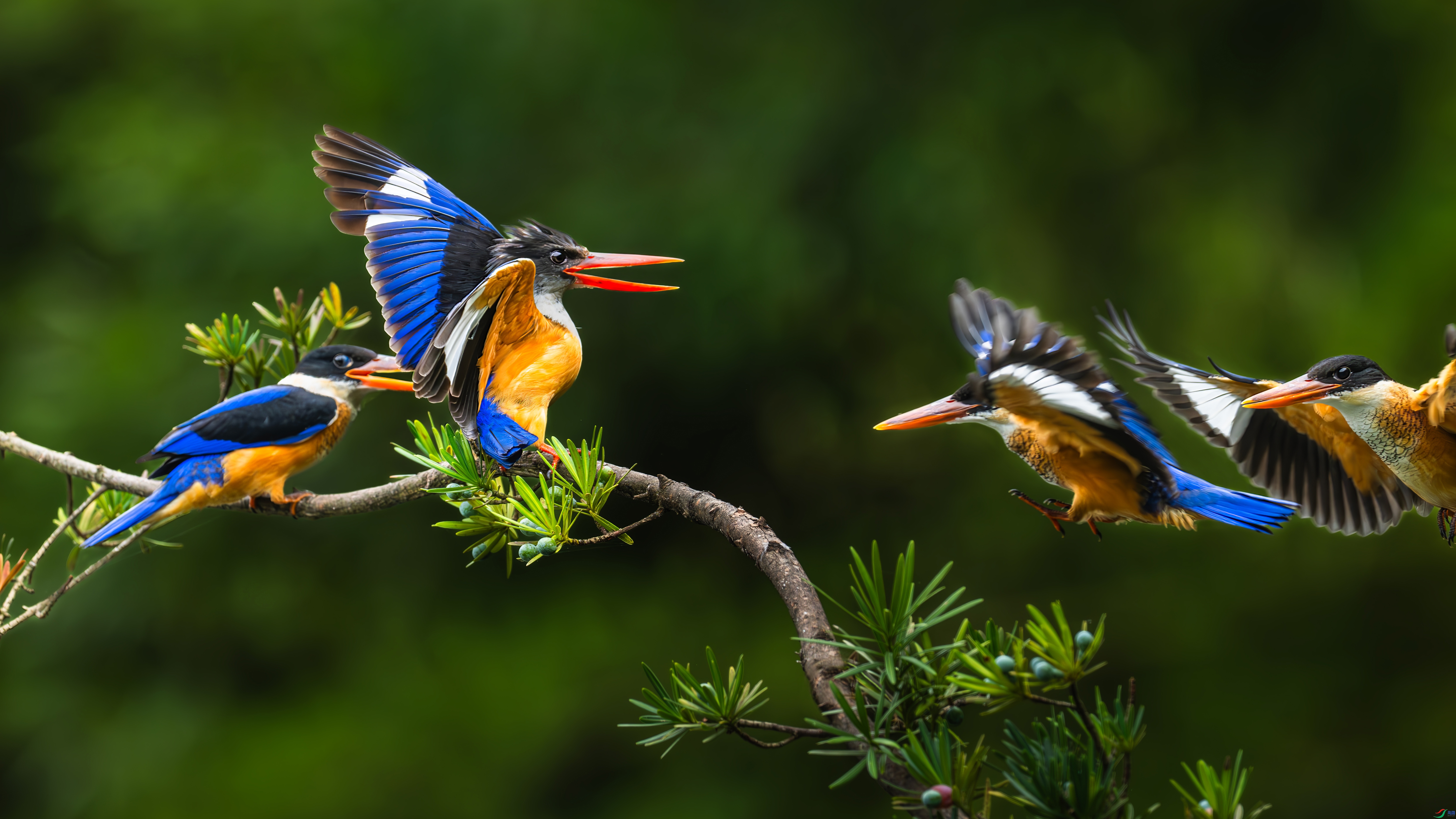 �ٵ���  ���� С���� ����.jpg