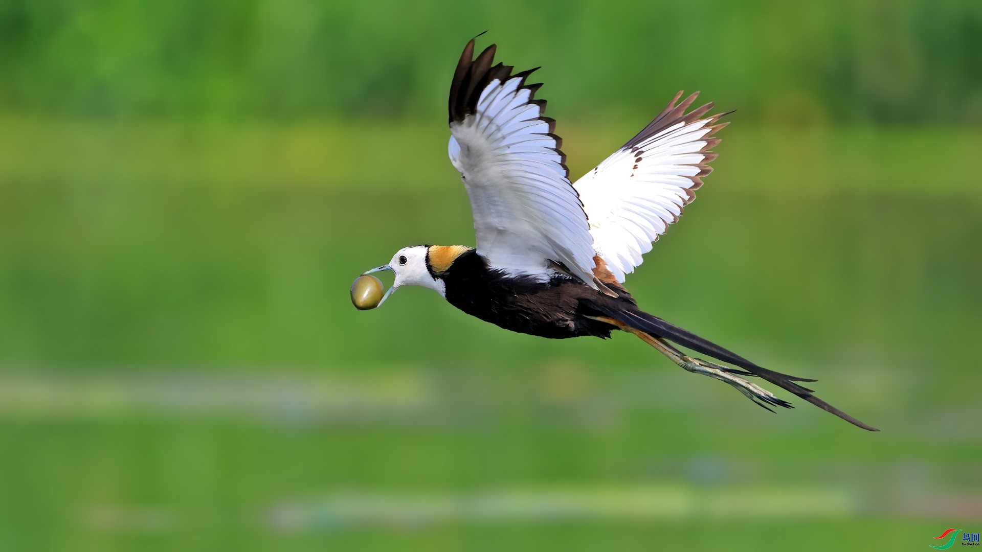 ���  ���� ������ ����.jpg