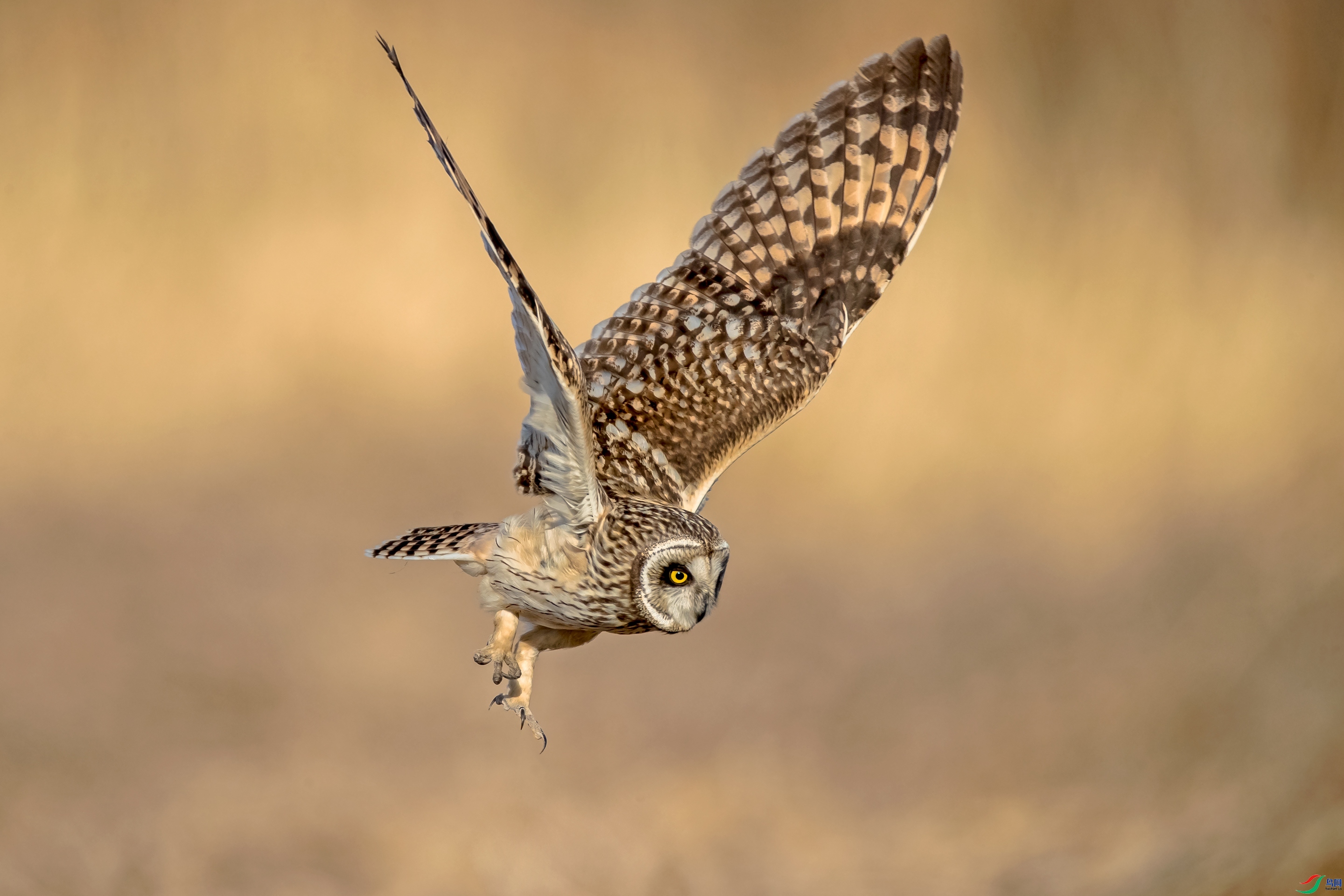 Ŀ����� ���� ͬ������ ����.jpg